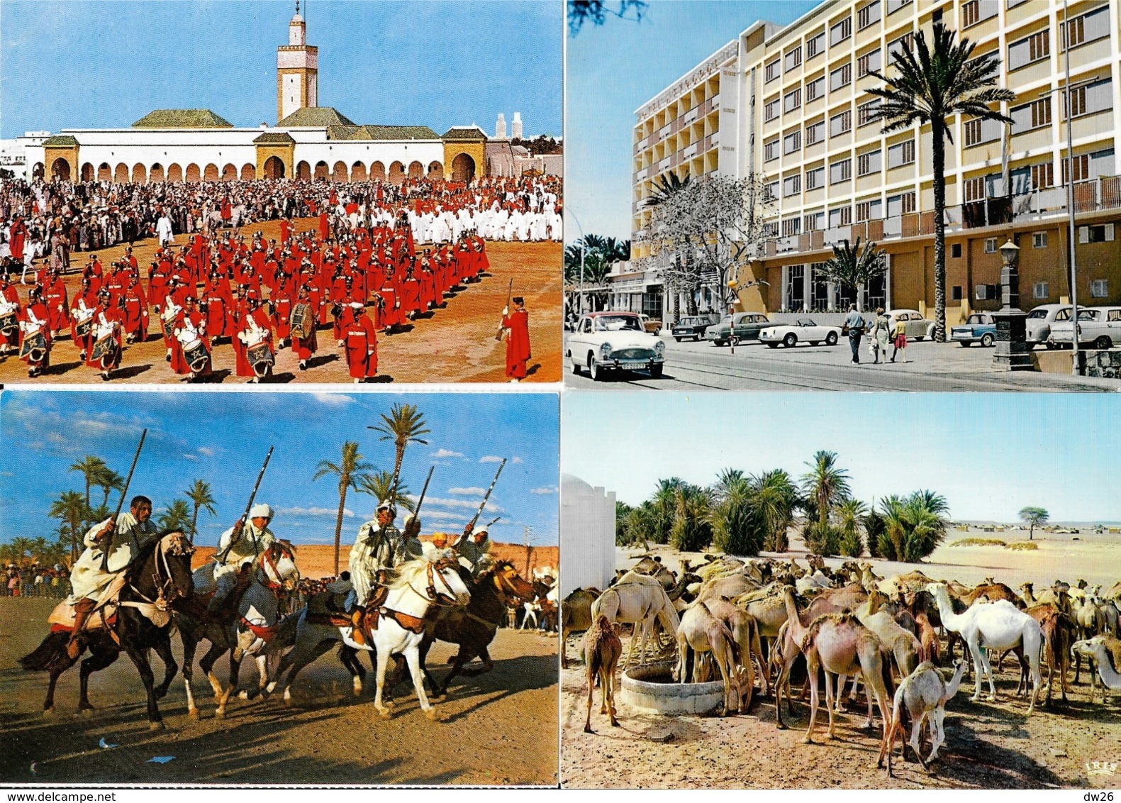 Lot n° 98 de 106 CPSM et CPM du Maroc - Villes, villages, Ksar, Atlas, garde royale, Fantasia, petites animations