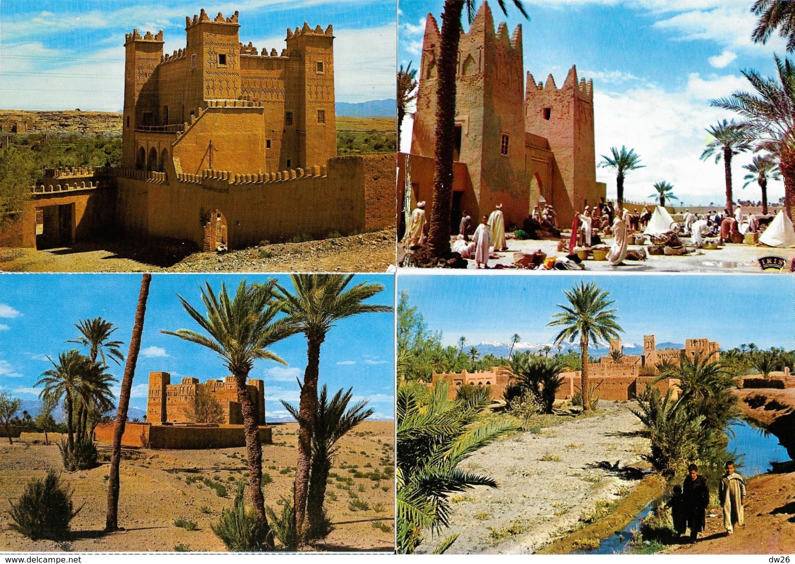 Lot n° 98 de 106 CPSM et CPM du Maroc - Villes, villages, Ksar, Atlas, garde royale, Fantasia, petites animations