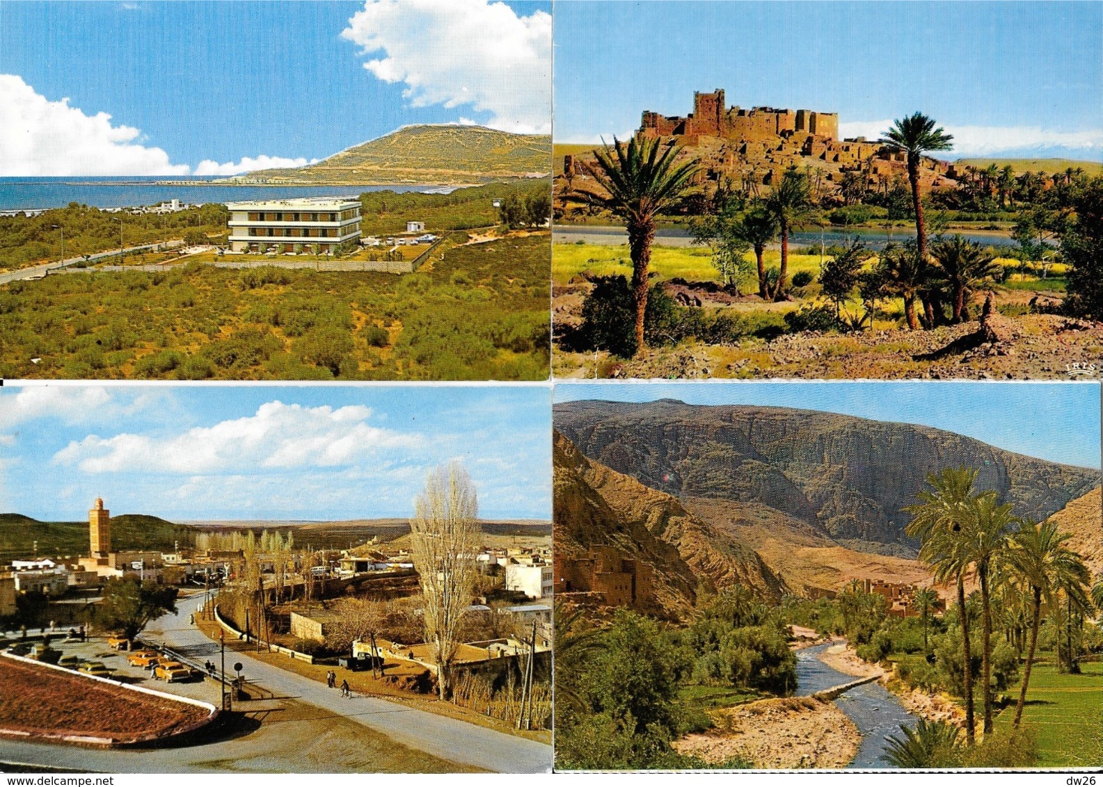 Lot n° 98 de 106 CPSM et CPM du Maroc - Villes, villages, Ksar, Atlas, garde royale, Fantasia, petites animations