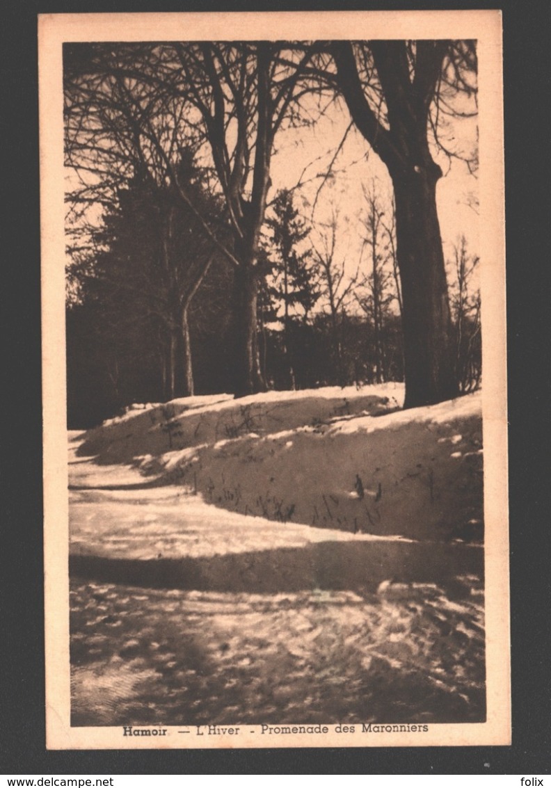 Hamoir - L'Hiver - Promenade Des Maronniers - Hamoir