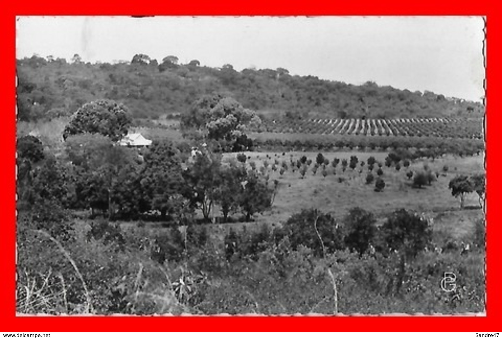 2 CPSM/pf  LABE (Guinée Française)   Plantation De La C.A.P.P / Vue Générale Du Quartier Du Commerce....C101 - Guinée Française