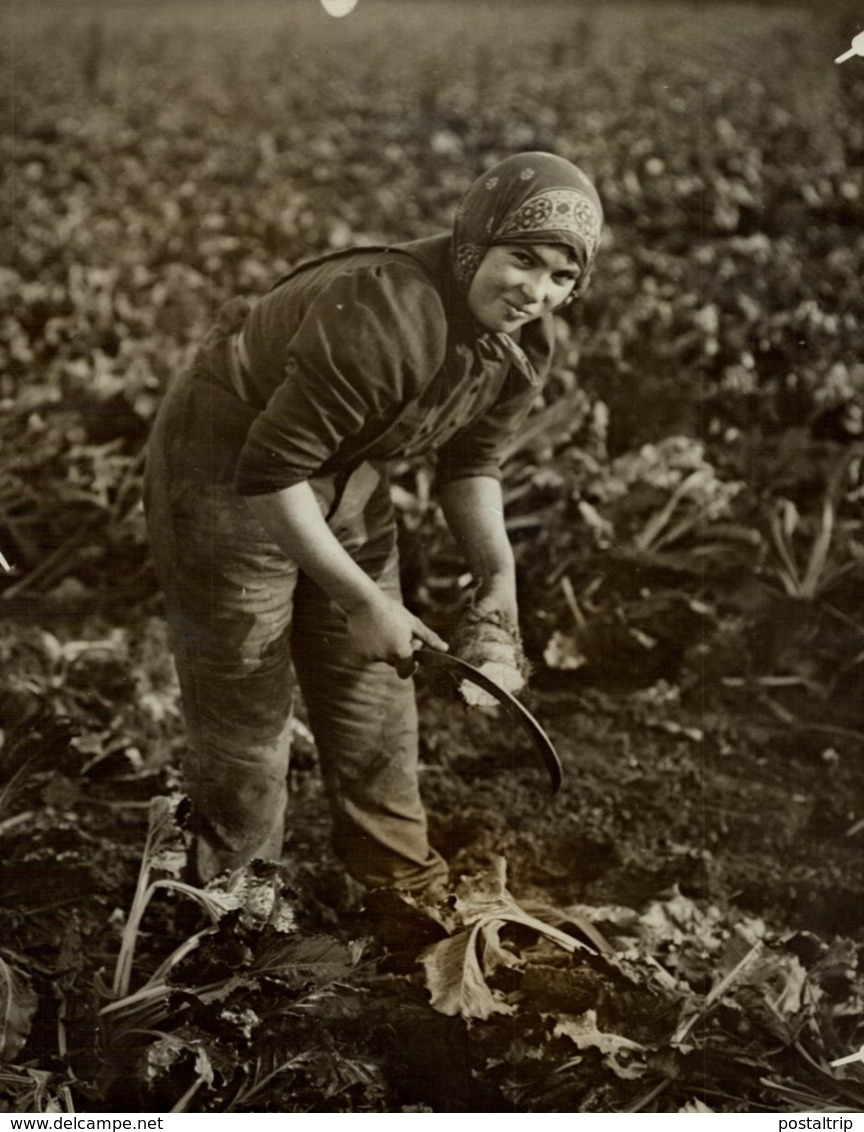 AGRICULTURE LANDBOUW AGRICULTURA   21*16CM Fonds Victor FORBIN 1864-1947 - Profesiones