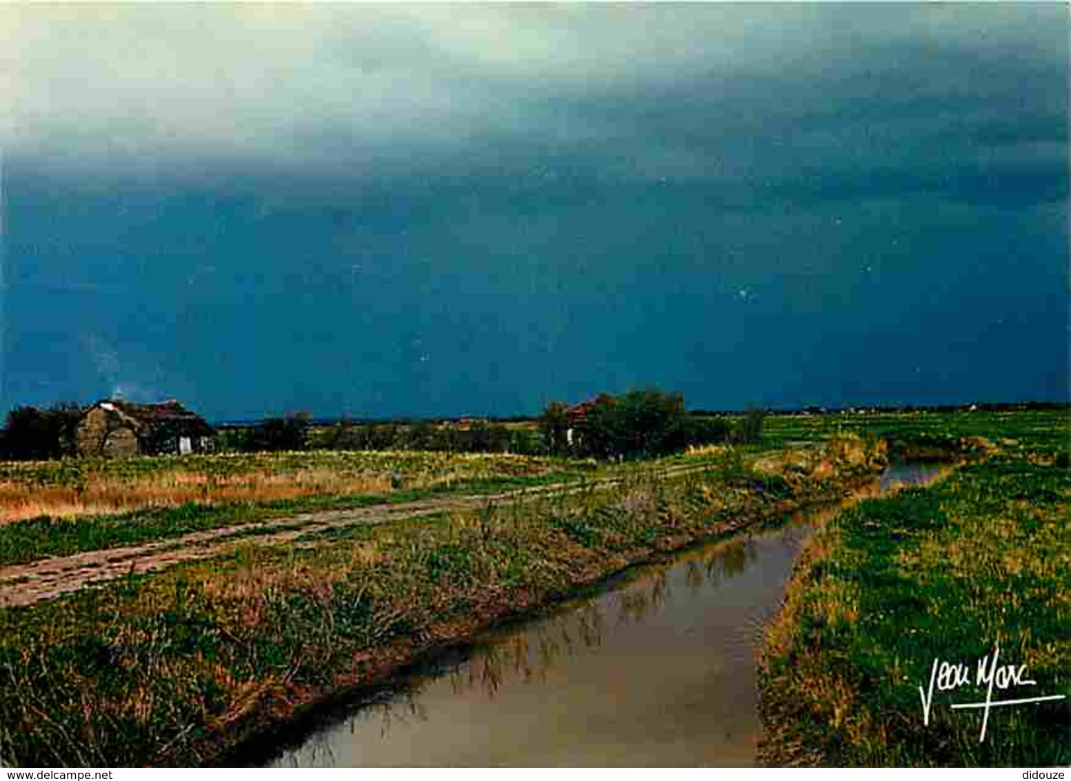 85 - Vendée - Bourrine - Maison Vendéenne - Voir Scans Recto-Verso - Autres & Non Classés