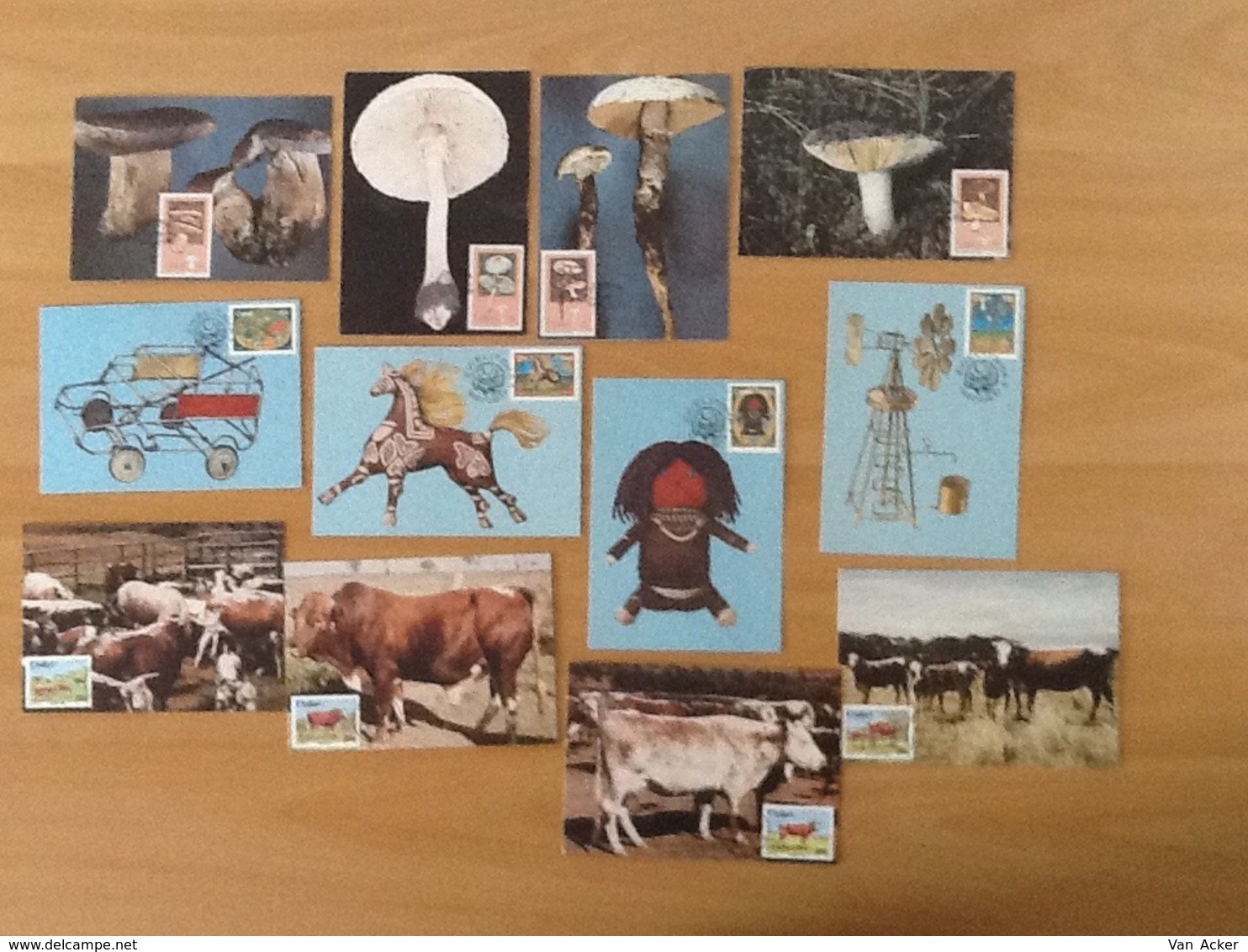 Collection Maximumcards Ciskei/Transkei. - Collections (without Album)