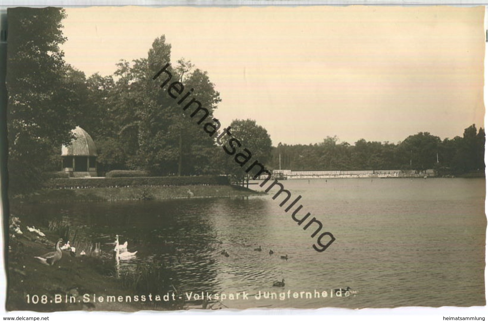 Berlin-Siemensstadt - Volkspark Jungfernheide - Foto-Ansichtskarte 30er Jahre - Spandau