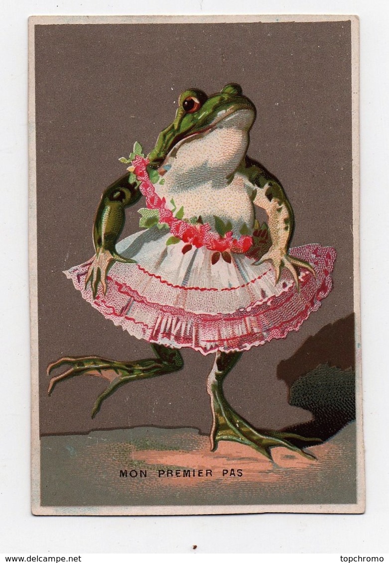 CHROMO Animaux Humanisés Anthropomorphisme Mon Premier Pas Grenouille Danse Danseuse - Autres & Non Classés