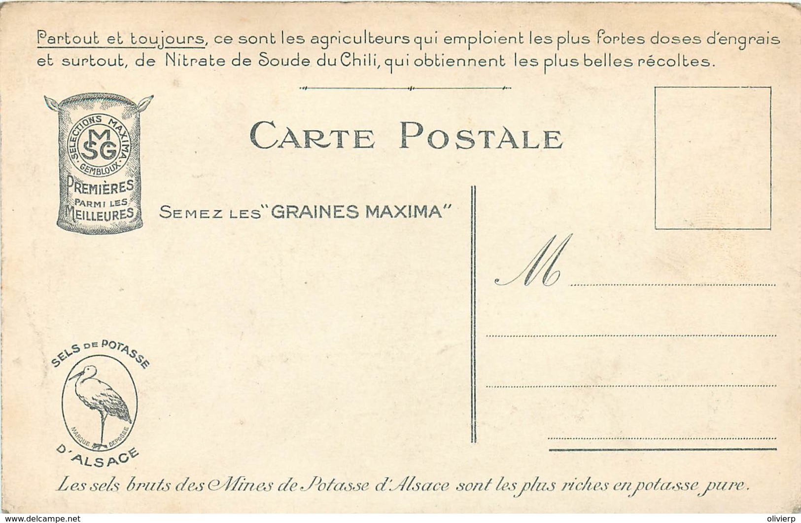 Publicité - Gembloux - M.S.G. - Graines Maxima - Betterave à Sucre Française - Gembloux