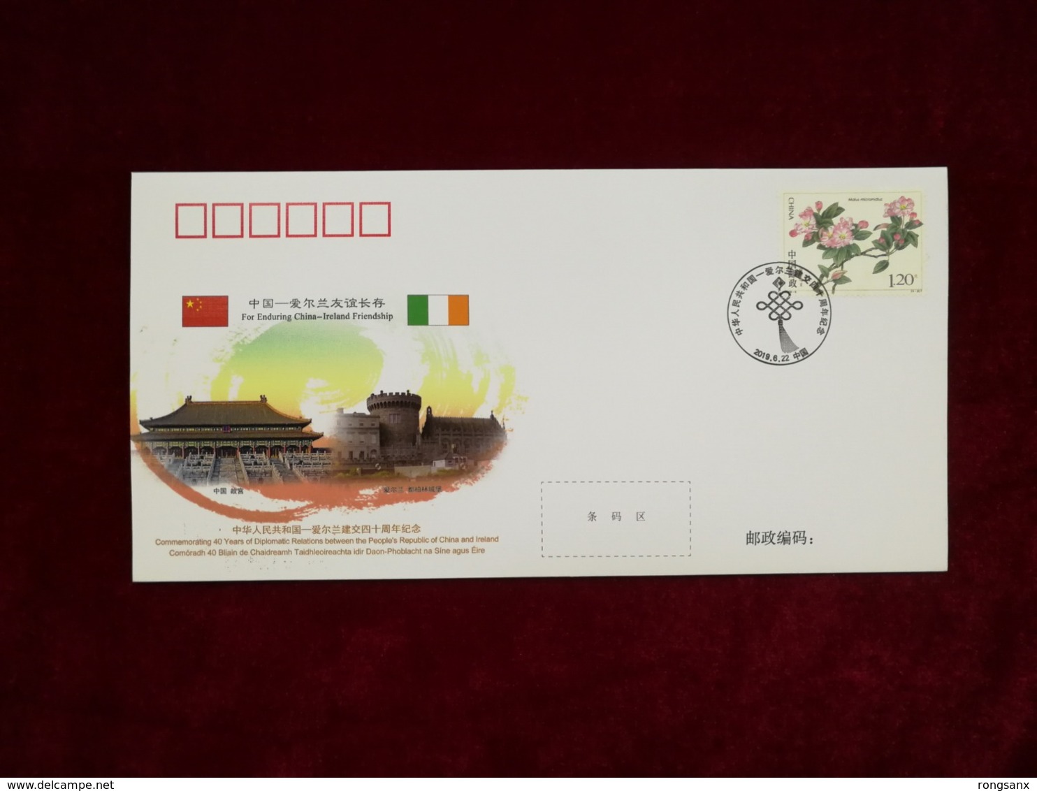 2019 CHINA  WJ2019-02 CHINA-IRELAND DIPLOMATIC COMM.COVER - Covers & Documents