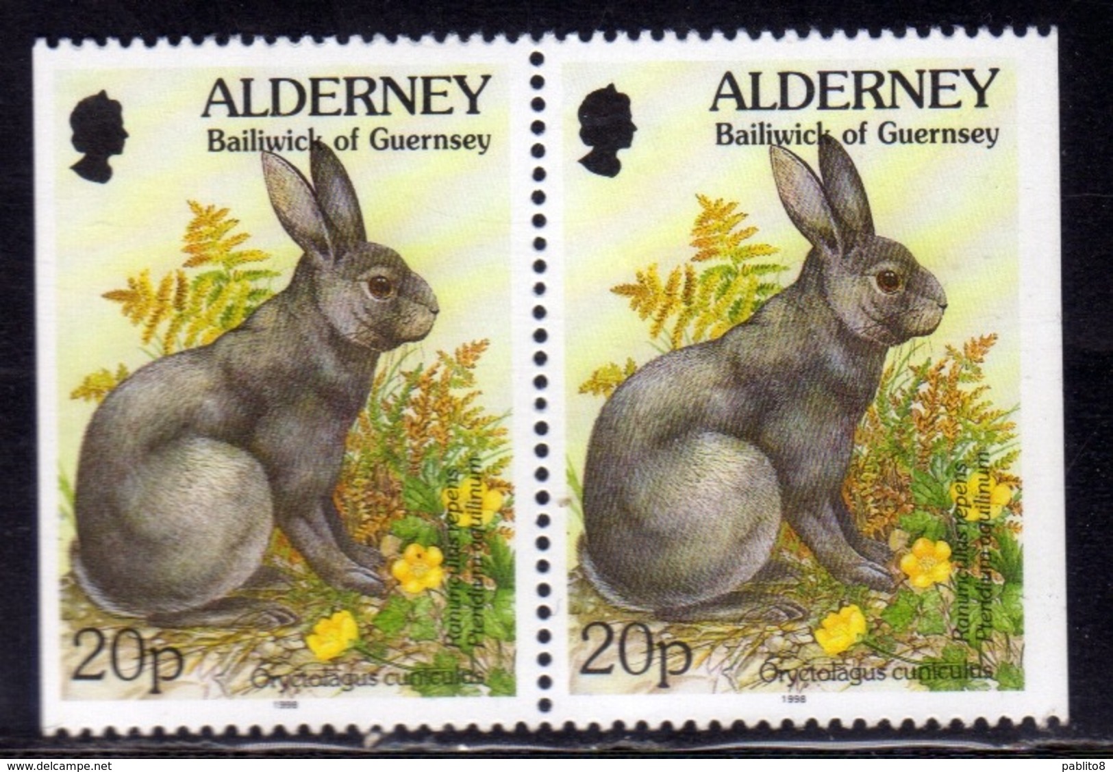 ALDERNEY 1994 1995 FLORA AND FAUNA RABBIT 20p PAIR FROM BOOKLET COPPIA DA LIBRETTO MNH - Alderney