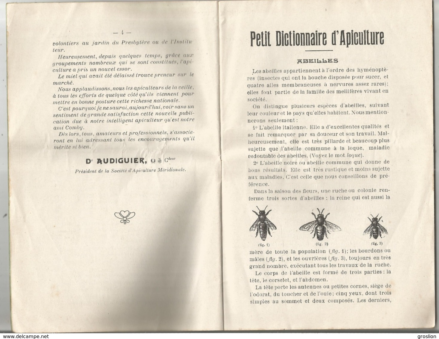 L'APICULTURE SIMPLIFIEE ETAB D'APICULTURE DE STE MARIE DU DESERT CASIMIR COMBY SUCC L'ISLE JOURDAIN GERS LIVRET ANCIEN - Animaux