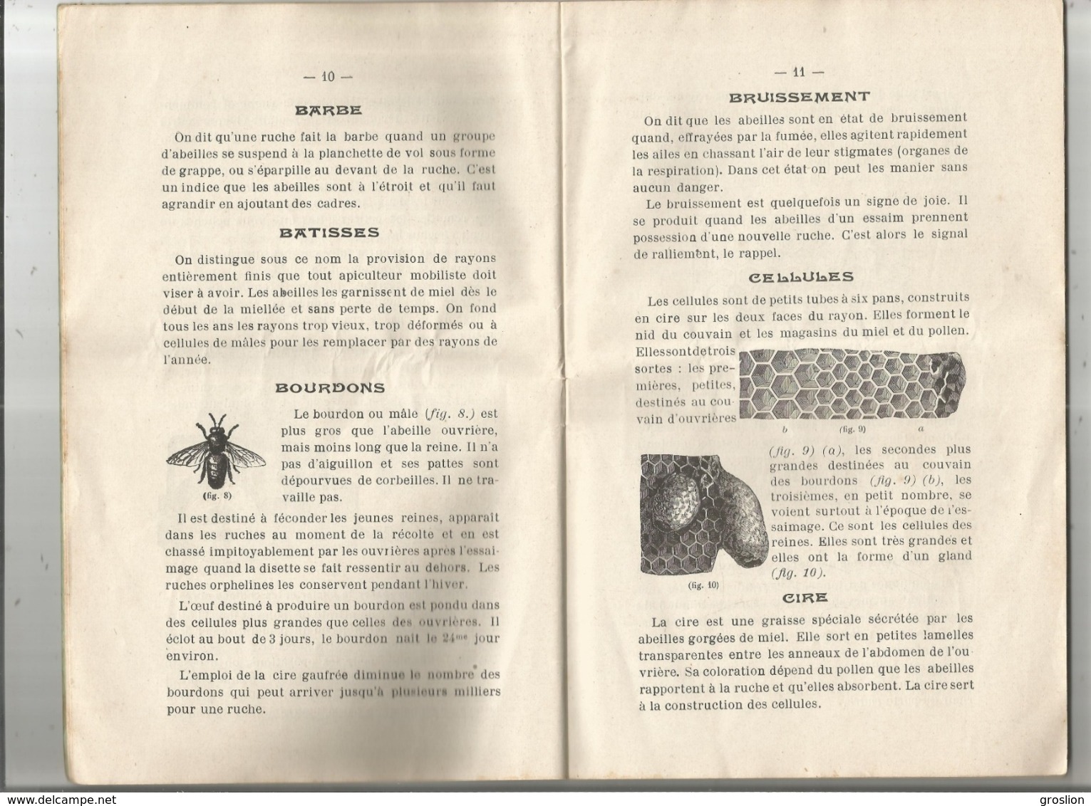 L'APICULTURE SIMPLIFIEE ETAB D'APICULTURE DE STE MARIE DU DESERT CASIMIR COMBY SUCC L'ISLE JOURDAIN GERS LIVRET ANCIEN - Animaux