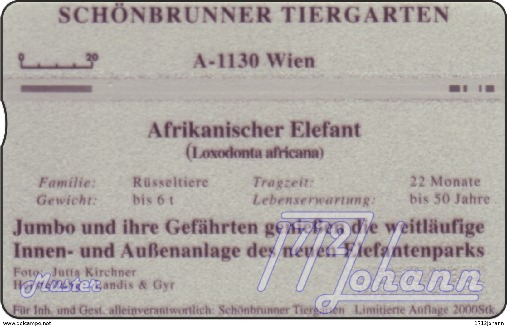 TWK Österreich Privat: "Tiergarten Schönbrunn  3 - Elefanten" Gebr. - Oesterreich
