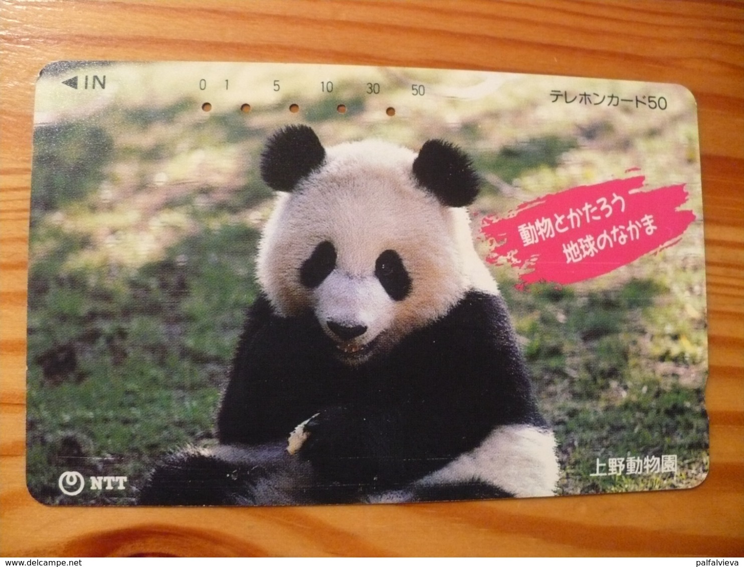 Phonecard Japan 231-029 Panda - Japon