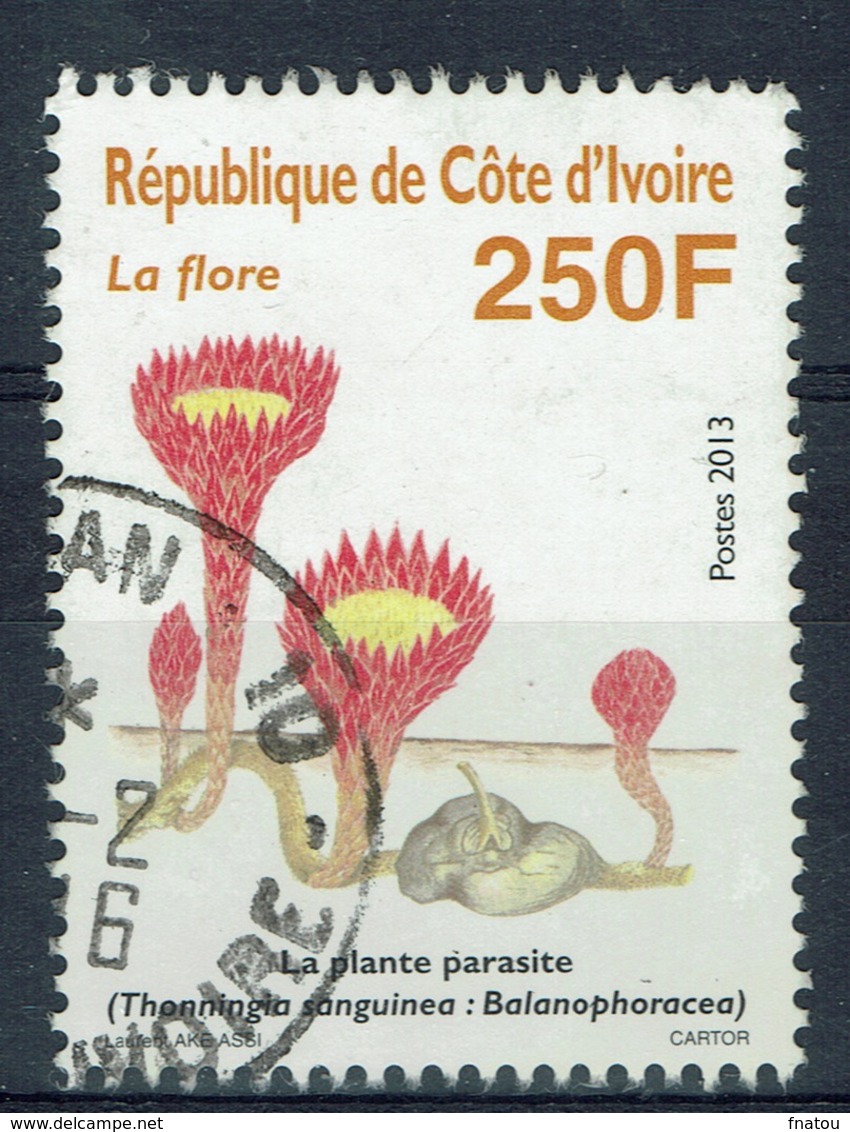 Ivory Coast, 250f., Flore, 2013, VFU - Ivory Coast (1960-...)