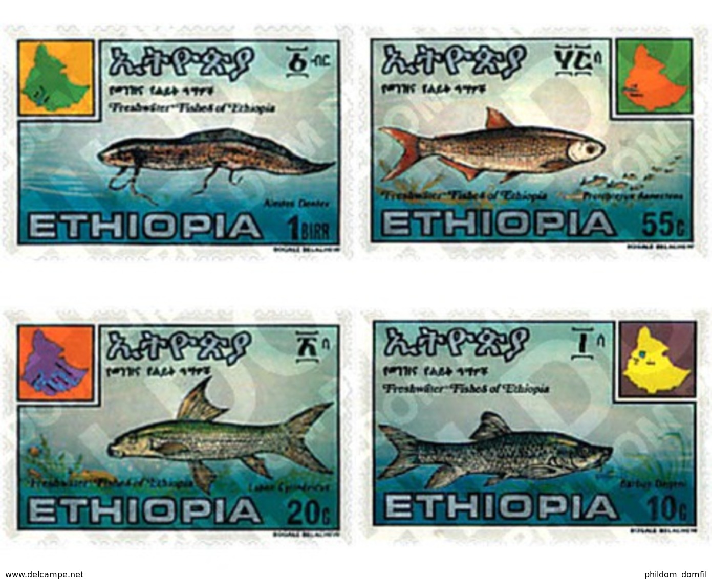 Ref. 53281 * MNH * - ETHIOPIA. 1985. FRESH WATER FISHES OF ETHIOPIA . PECES DE AGUA DULCE DE ETIOPIA - Ethiopie