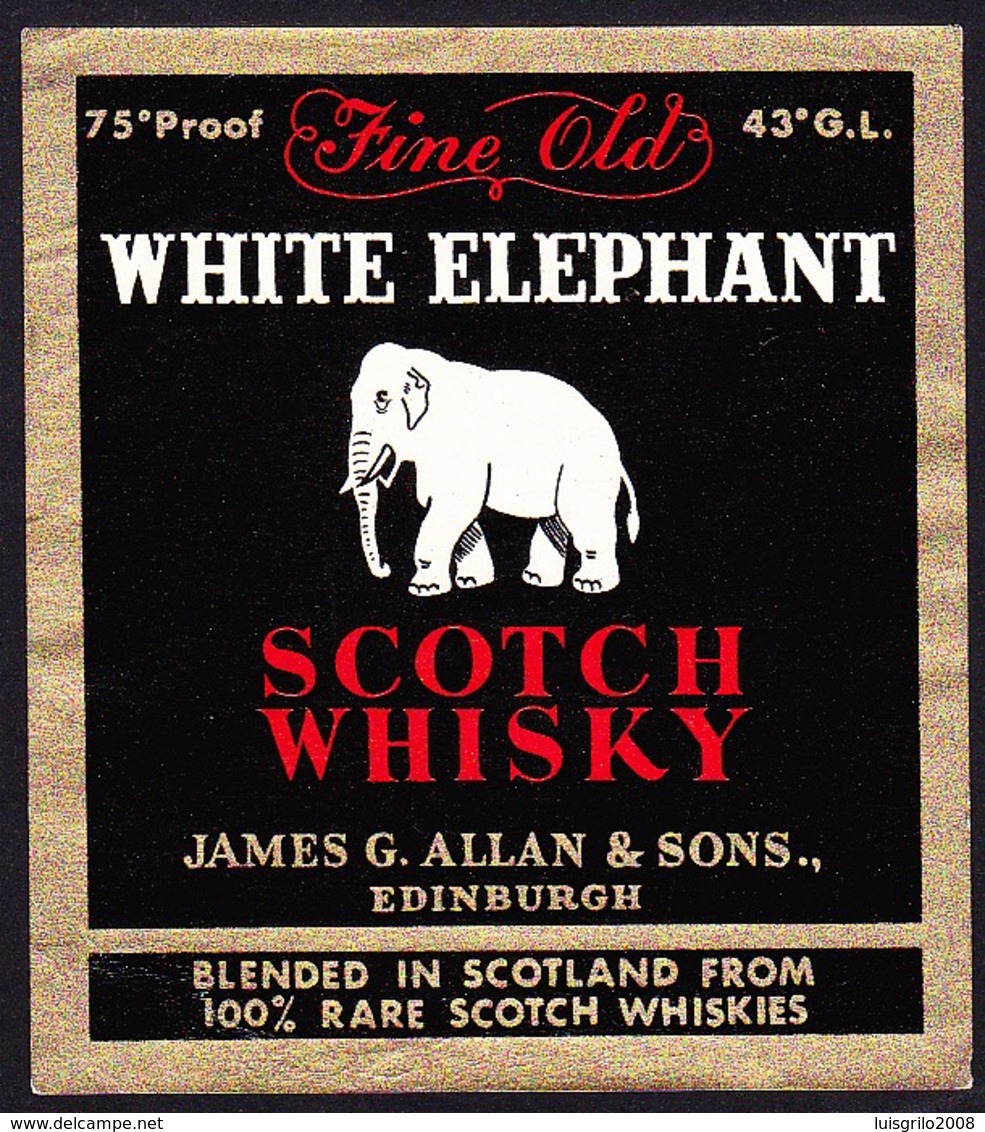 Whisky Label, Scotland - WHITE ELEPHANT / James G. Allan & Sons - Edinburgh - Whisky