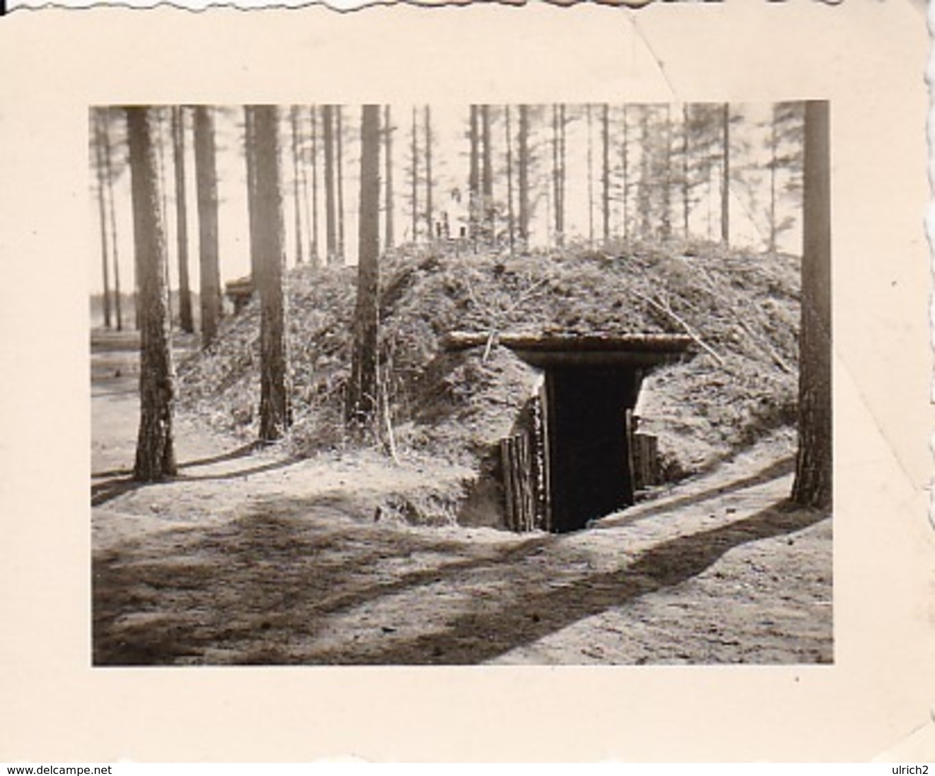 Foto Unterstand Im Wald -  2. WK - 5,5*4cm (44035) - Krieg, Militär