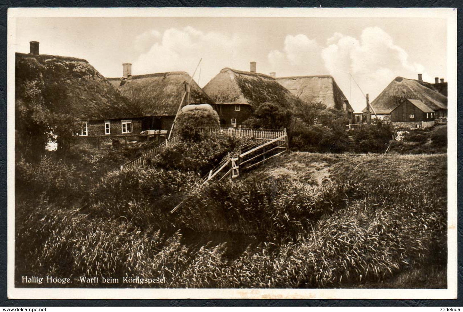 B2982 - Hallig Hooge - Warft Beim Königspesel - Ferdinand Albertsen - Sonderstempel - Halligen