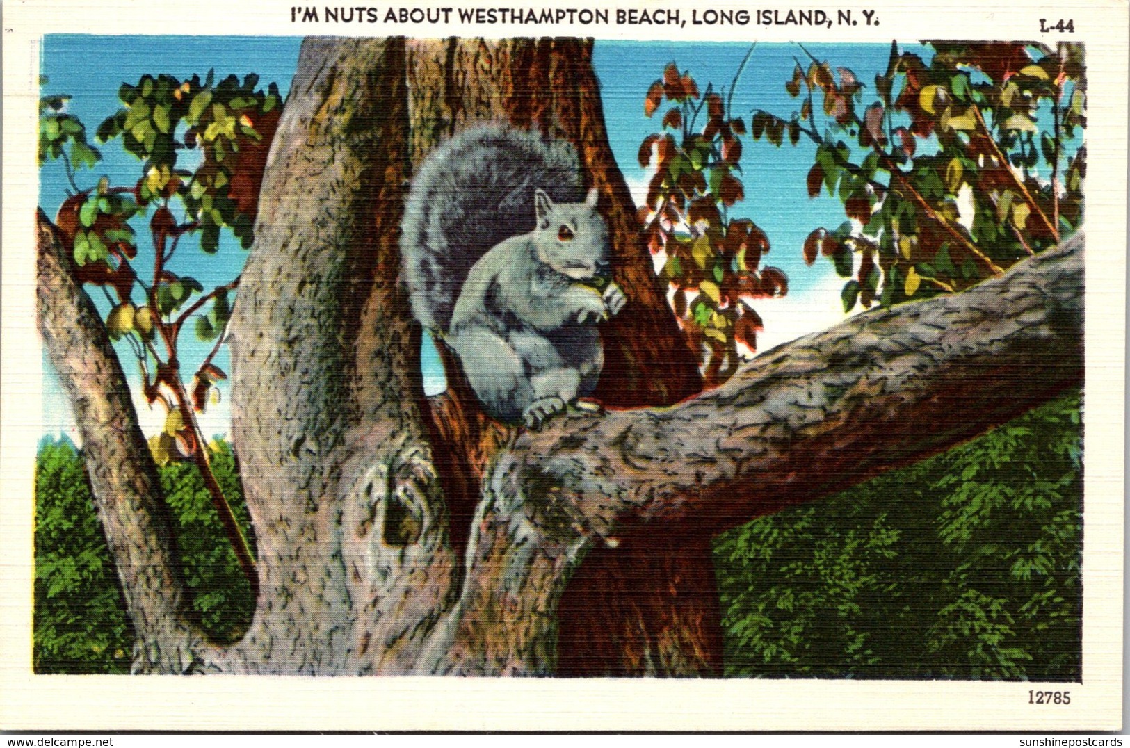 New York Long Island I'm Nuts About Westhampton Beach - Long Island