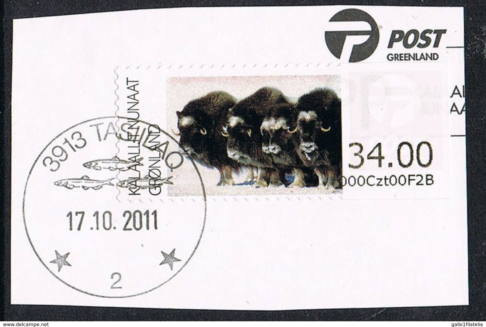 2011 - GROENLANDIA / GREENLAND - ETICHETTA - BISONTI / ATM FRAMA - LABEL - BISON - USATO / USED. - Distributori