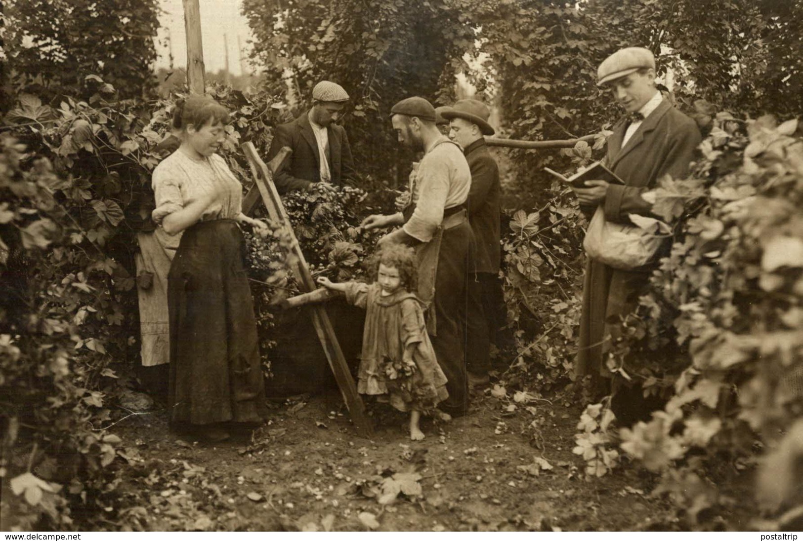 KENT ENGLAND  HOP PICKING  Hopfenanbaugebietes    15*11CM Fonds Victor FORBIN 1864-1947 - Unclassified