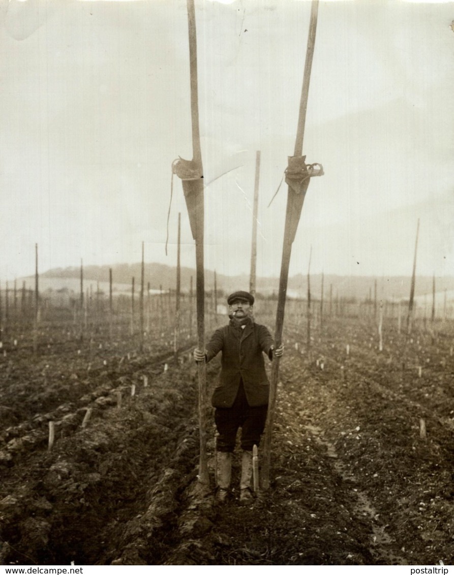 HOP PICKING KENT  KENTISH HOPFIELD  Hopfenanbaugebietes    21*16CM Fonds Victor FORBIN 1864-1947 - Profesiones