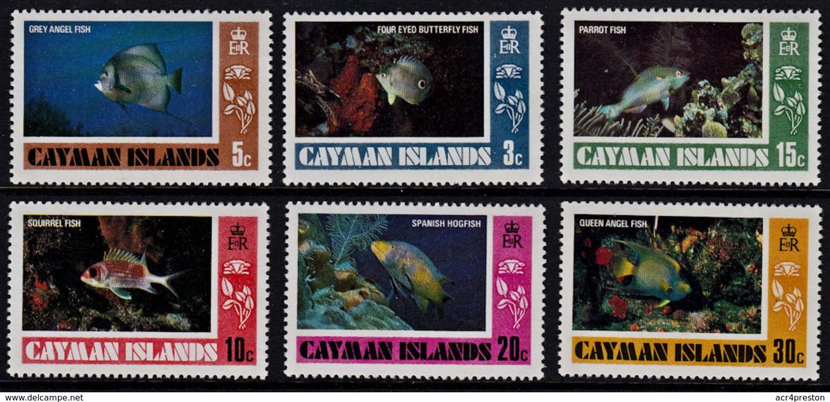 A0390 CAYMAN ISLANDS 1978, SG 471-6  Fish (1st Series)  MNH - Cayman Islands