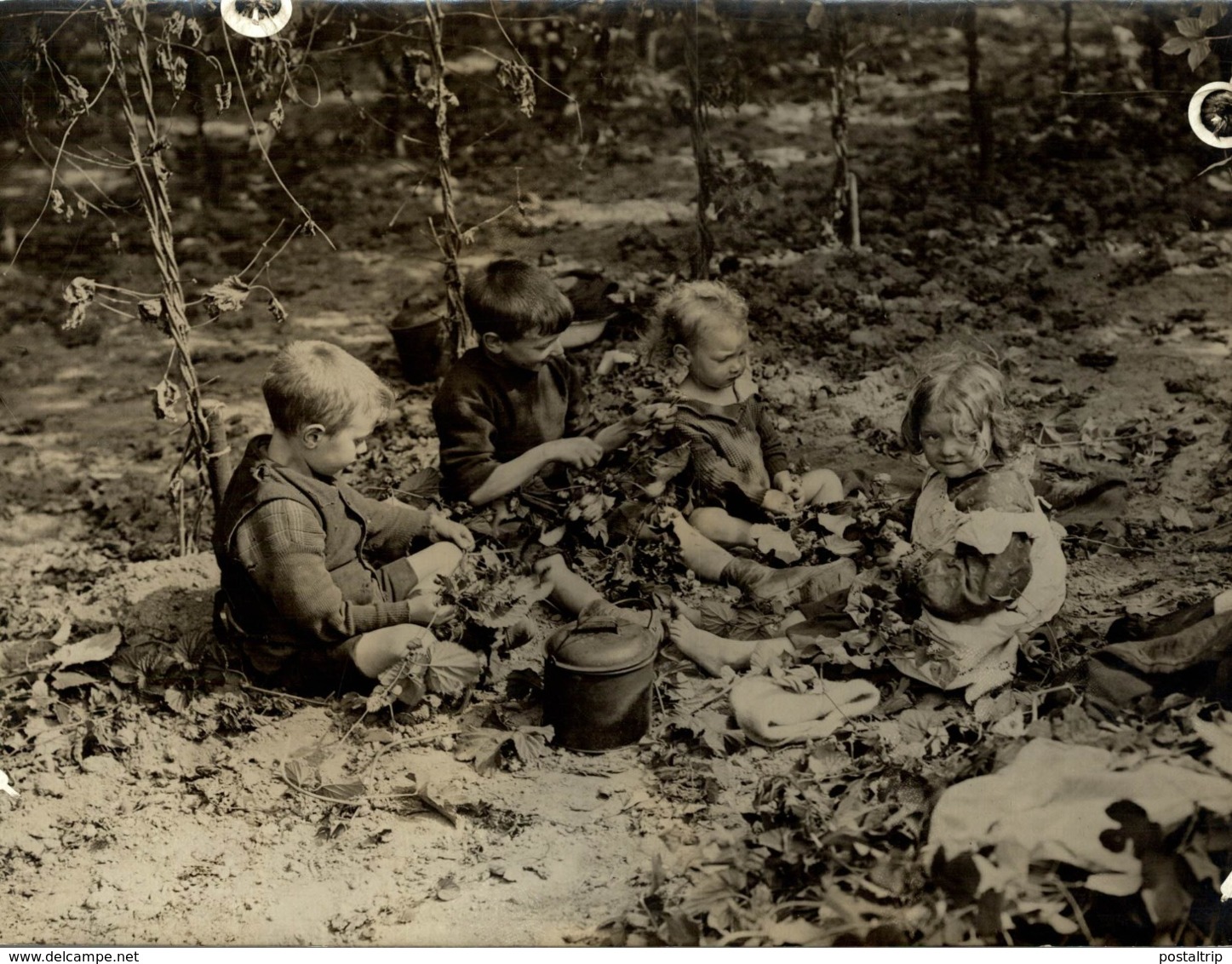 HOP PICKING KENT  KENTISH HOPFIELD LONDON CHILDREN  Hopfenanbaugebietes    21*16CM Fonds Victor FORBIN 1864-1947 - Sin Clasificación