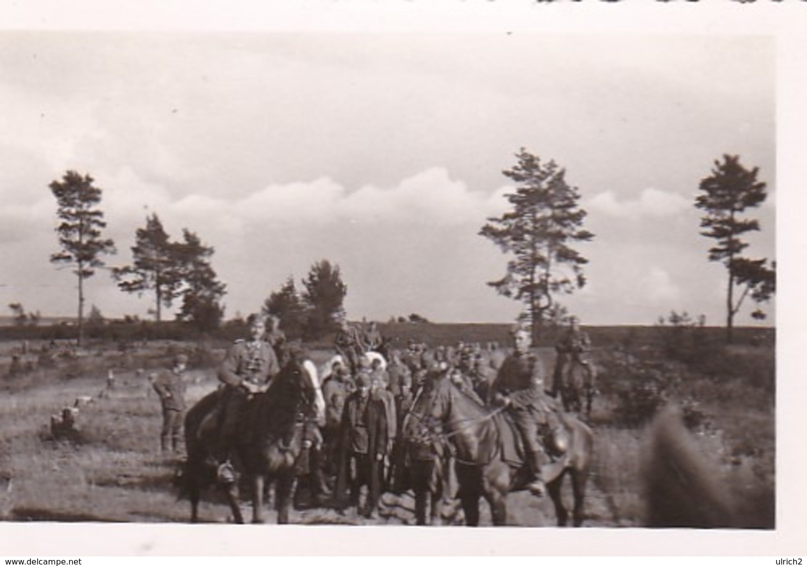 Foto Deutsche Soldaten Zu Pferd Mit Gruppe Kriegsgefangenen - POW - 2. WK - 8*5cm (44057) - Krieg, Militär