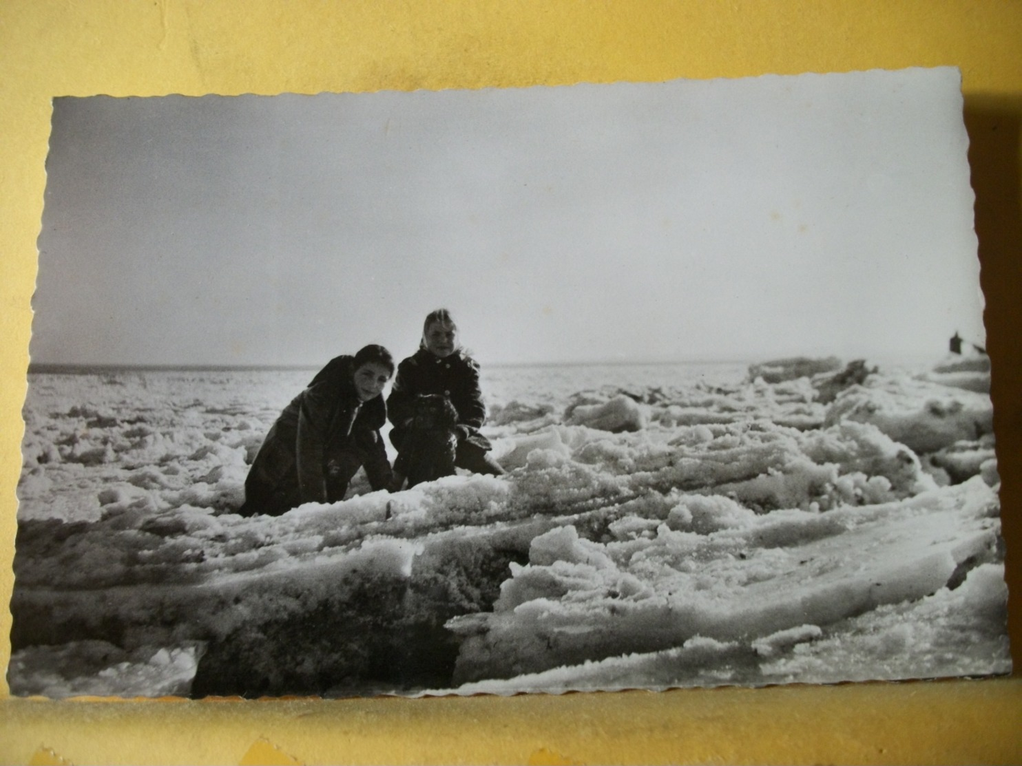 50 7347 CPSM PM - 50 SAINT VAAST LA HOUGUE. JANVIER 1963. BANQUISE SUR LA PLAGE. EDIT. LE GOUBEY N° 2045. - Saint Vaast La Hougue