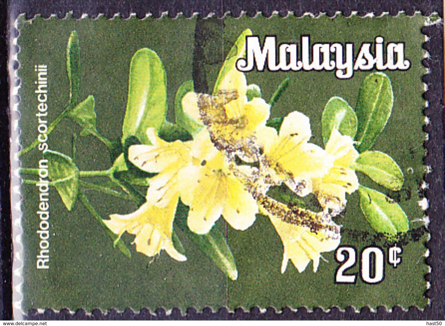 Malaiische Staaten V - Rhodedendron (Rhododendron Scortechinii) (MiNr: 13) 1983 - Gest Used Obl - Malayan Postal Union