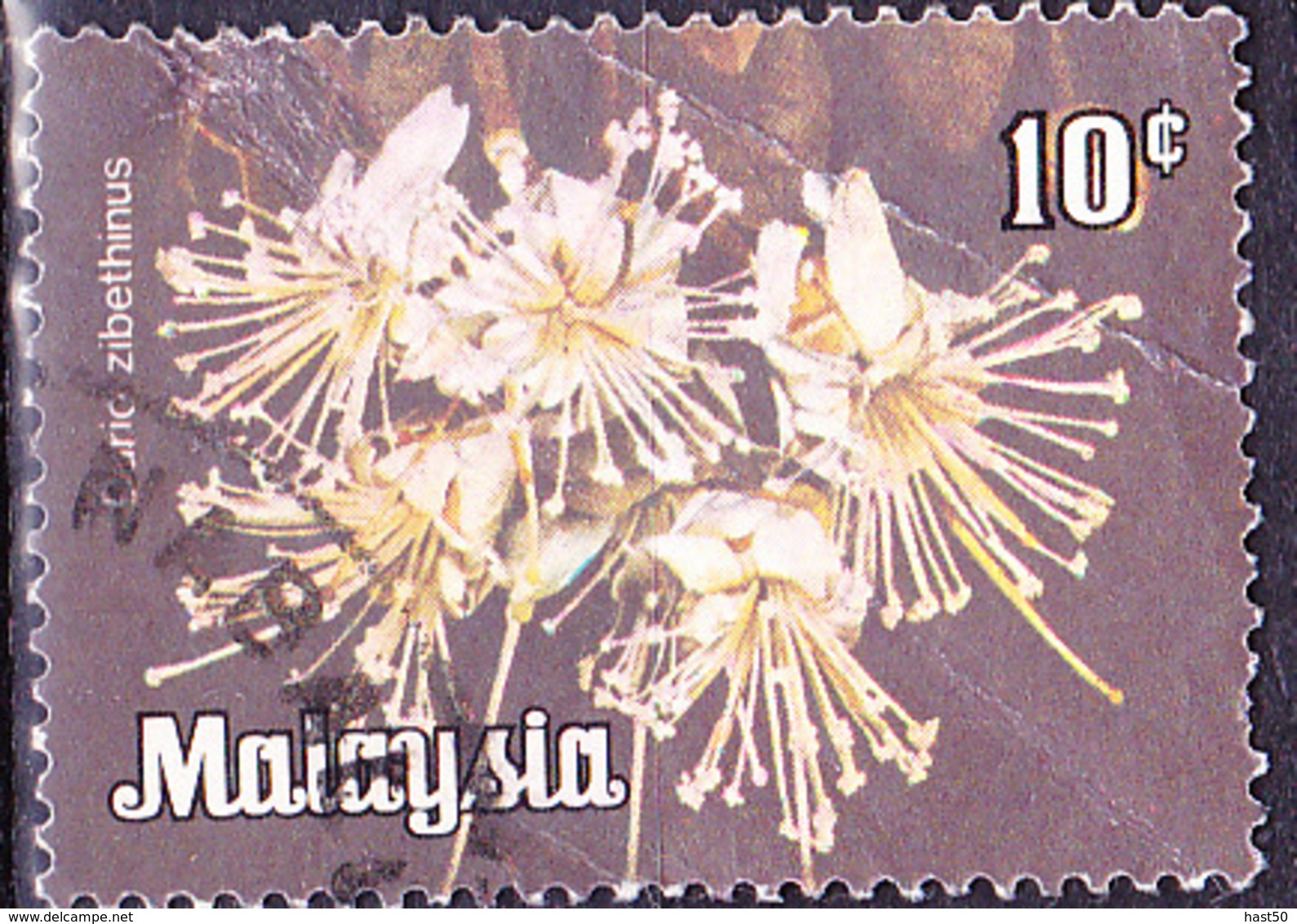 Malaiische Staaten V - Durianbaum (Durio Zibethinus) (MiNr: 4) 1979 - Gest Used Obl - Malayan Postal Union