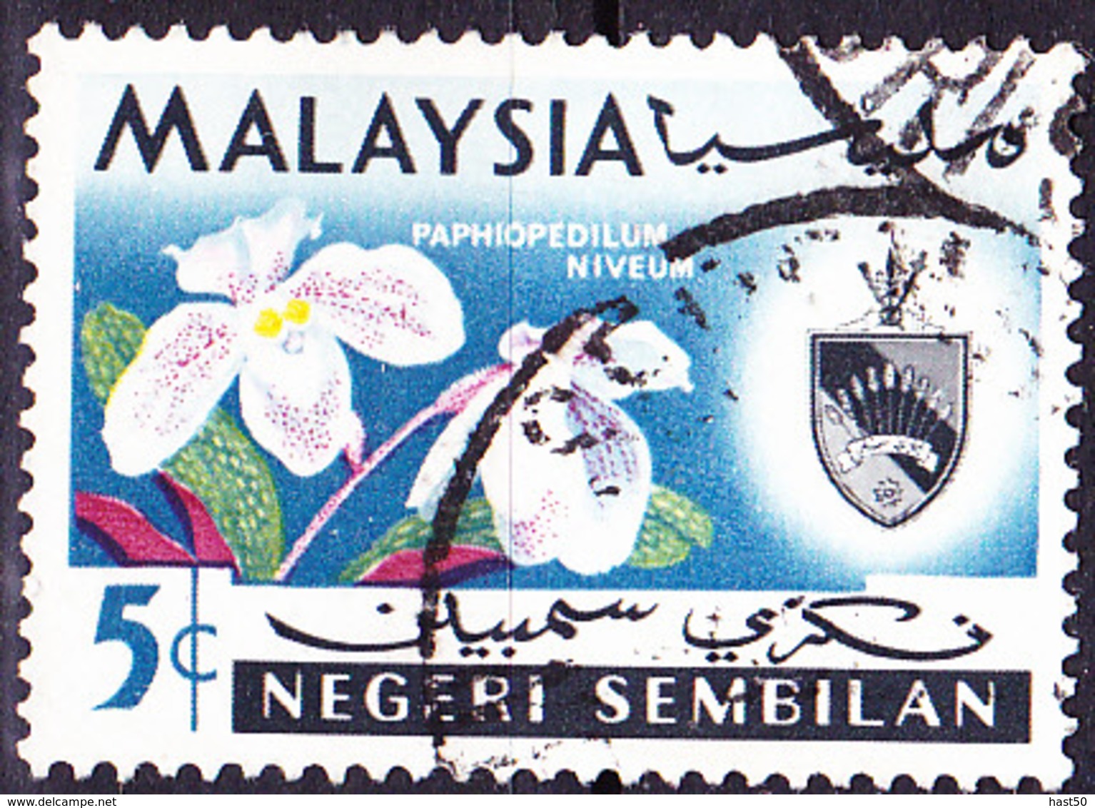 Malaiische Staaten V - Negri Sembilan - Orchidee (Paphiopedilum Niveum) (MiNr: 81) 1965 - Gest Used Obl - Negri Sembilan