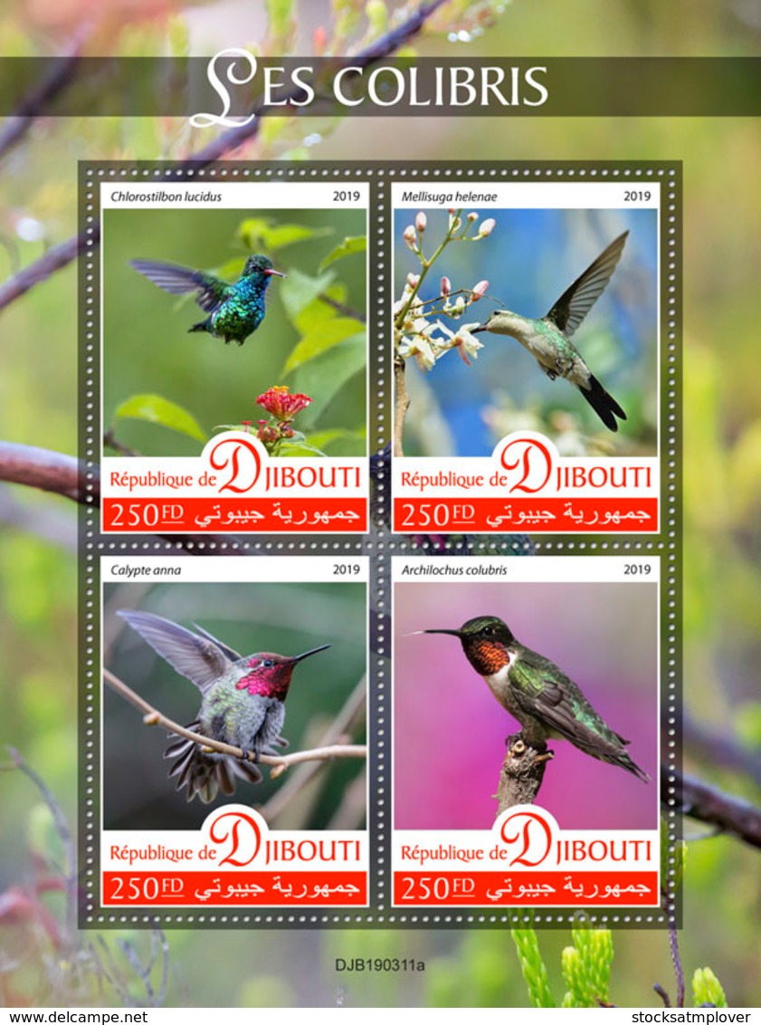 Djibouti 2019 Fauna Hummingbirds S201908 - Djibouti (1977-...)