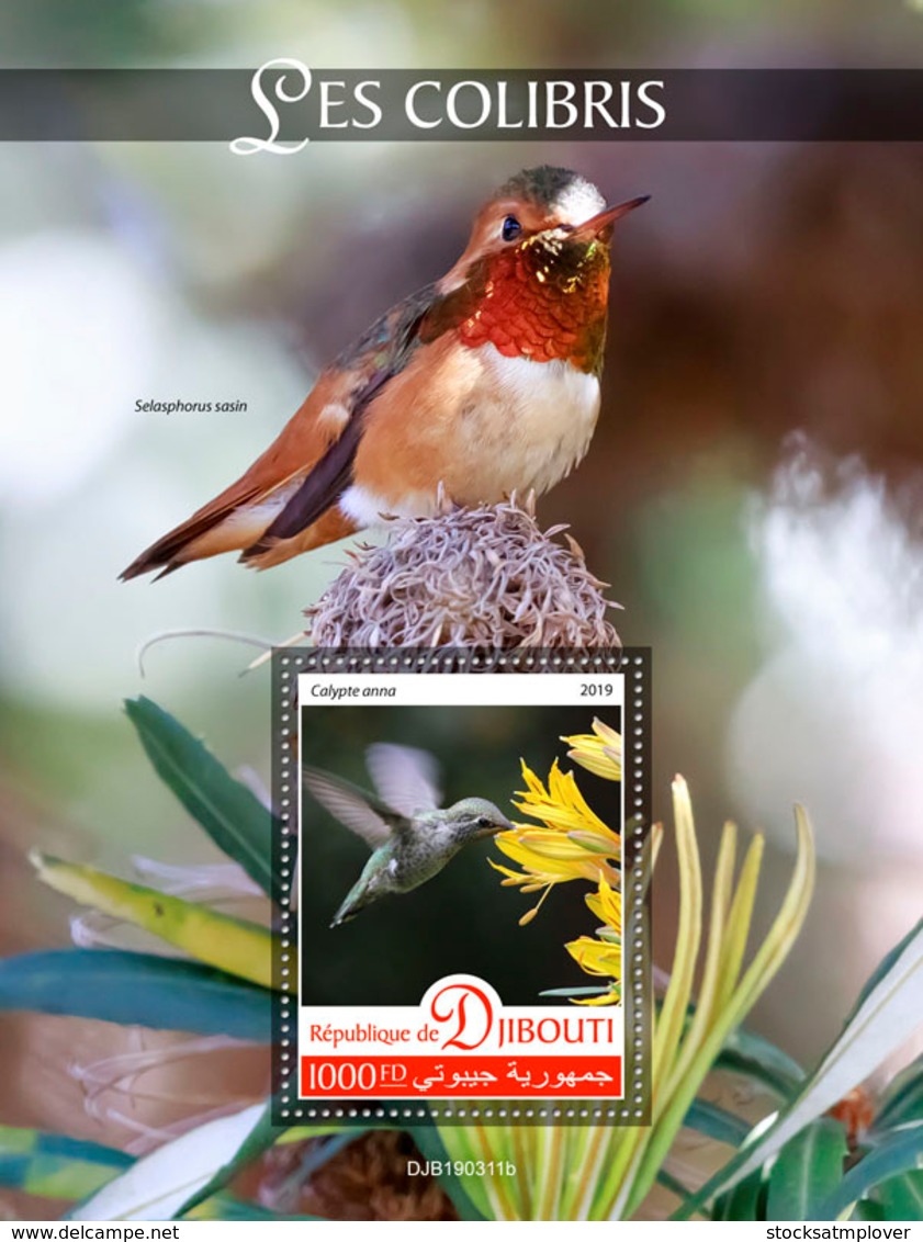 Djibouti 2019 Fauna Hummingbirds S201908 - Djibouti (1977-...)