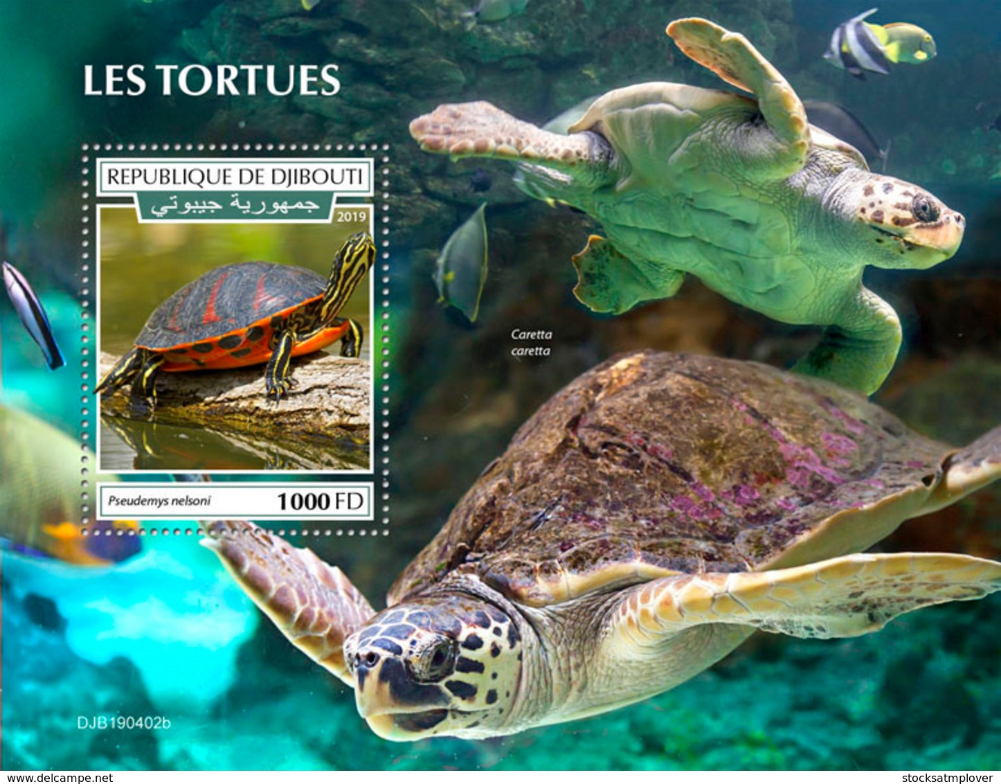 Djibouti 2019 Fauna Turtles S201908 - Djibouti (1977-...)