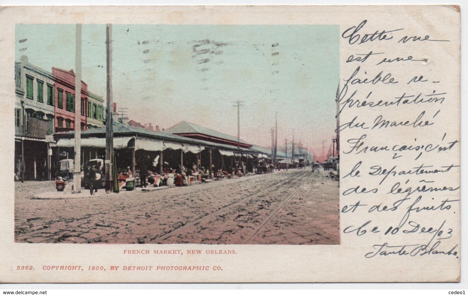NEW ORLEANS  FRENCH MARKET    EN 1903 - New Orleans
