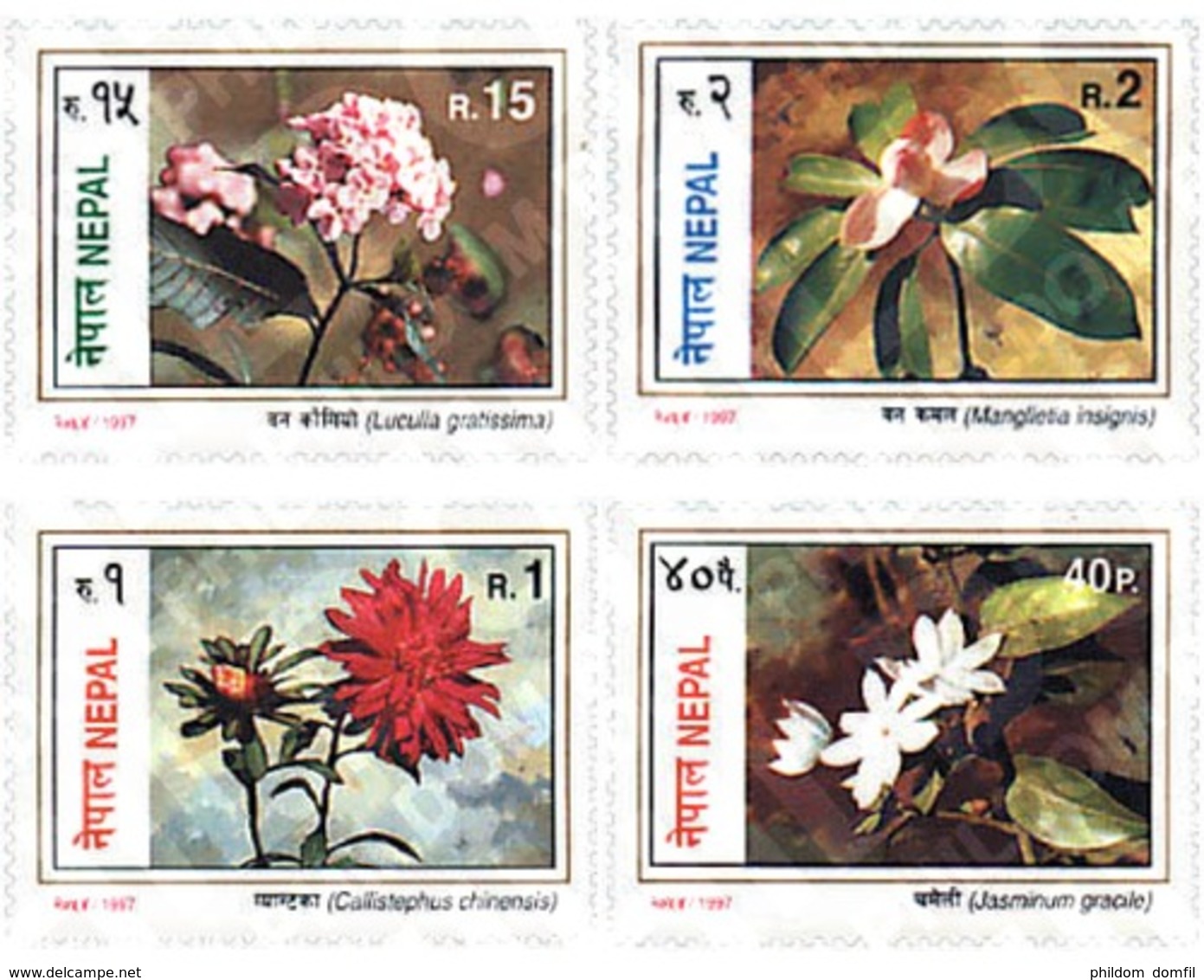 Ref. 94586 * MNH * - NEPAL. 1997. FLOWERS . FLORES - Nepal