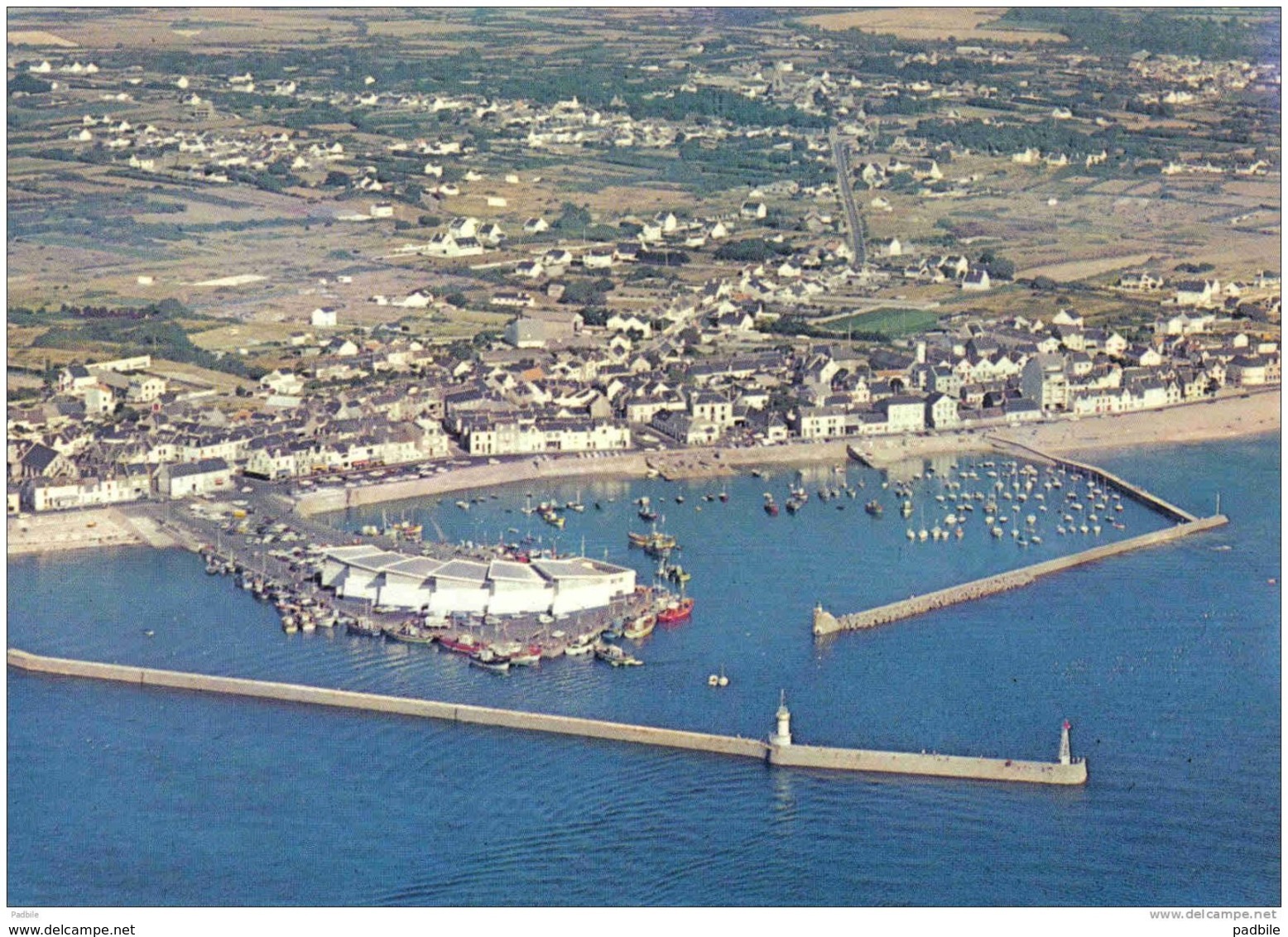 Carte Postale 44. La Turballe  Le Port Et La Criée  Vue D'avion Trés Beau Plan - La Turballe