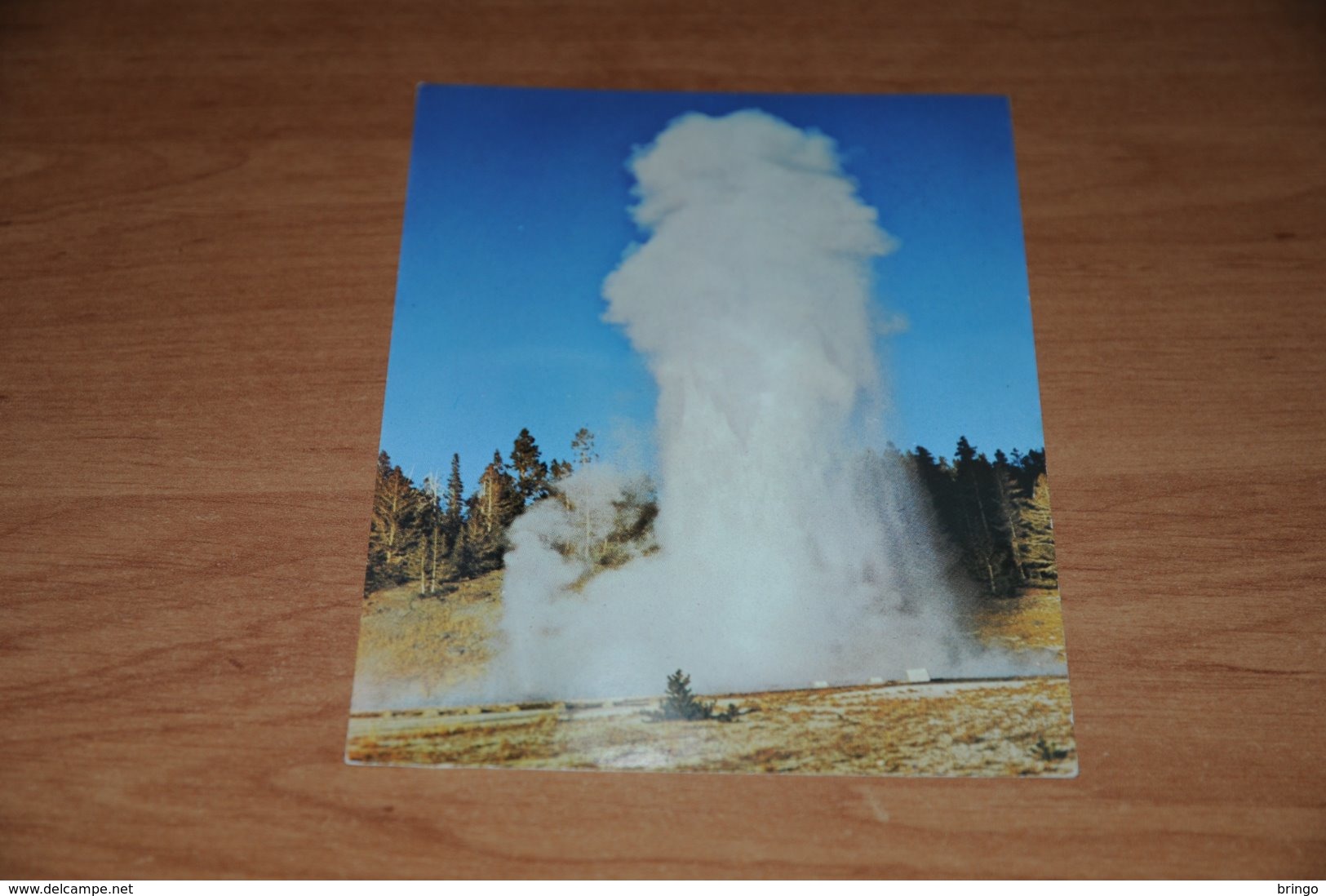 131-    GRAND GEYSER,  YELLOWSTONE NATIONAL PARK - Yellowstone