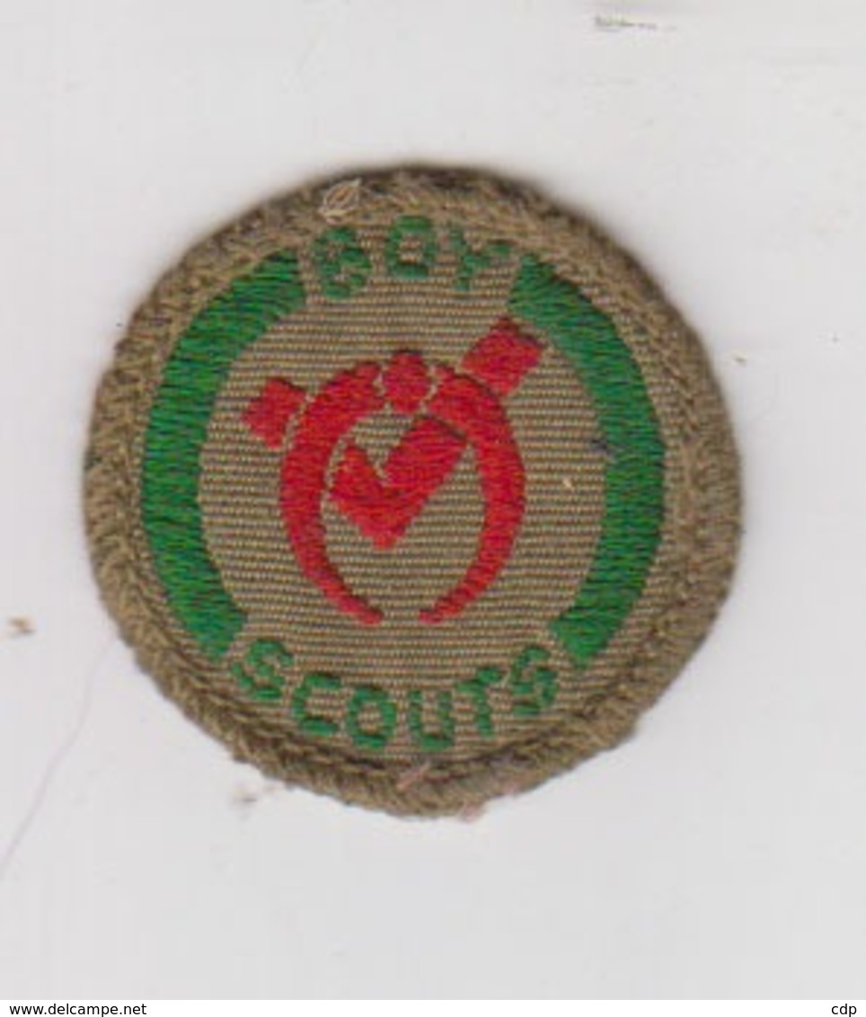 Scoutisme  Ancien écusson - Scouting