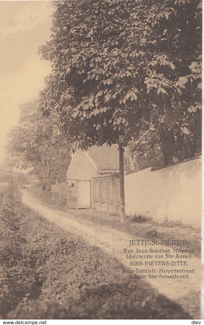 Jette-St-Pierre - Rue Jean-Baptiste Moyens (Ancienne Rue Ste-Anne) - Edit. PIB - Jette