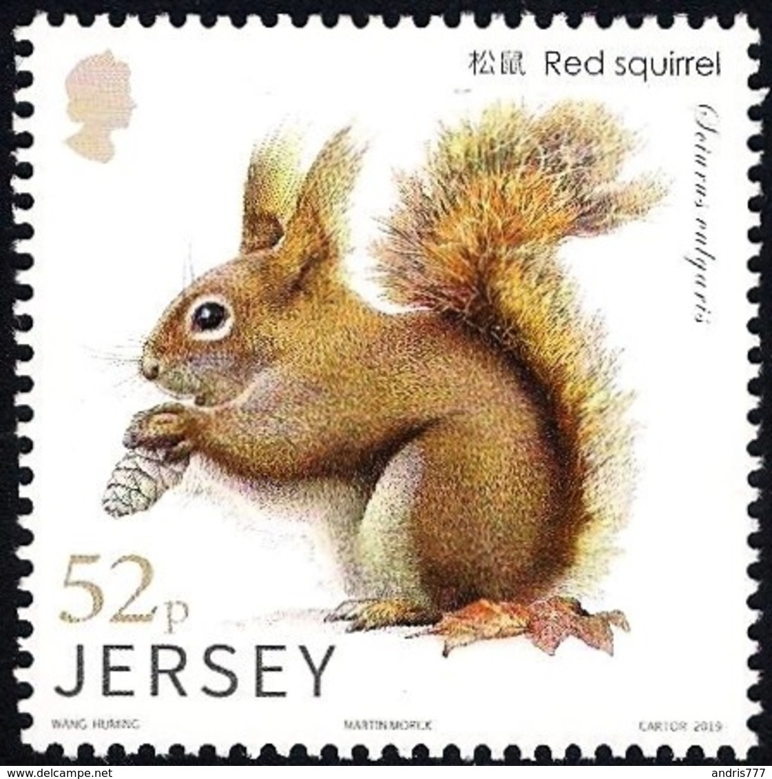 Jersey 2019  Fauna - Red Squirrel - Rongeurs