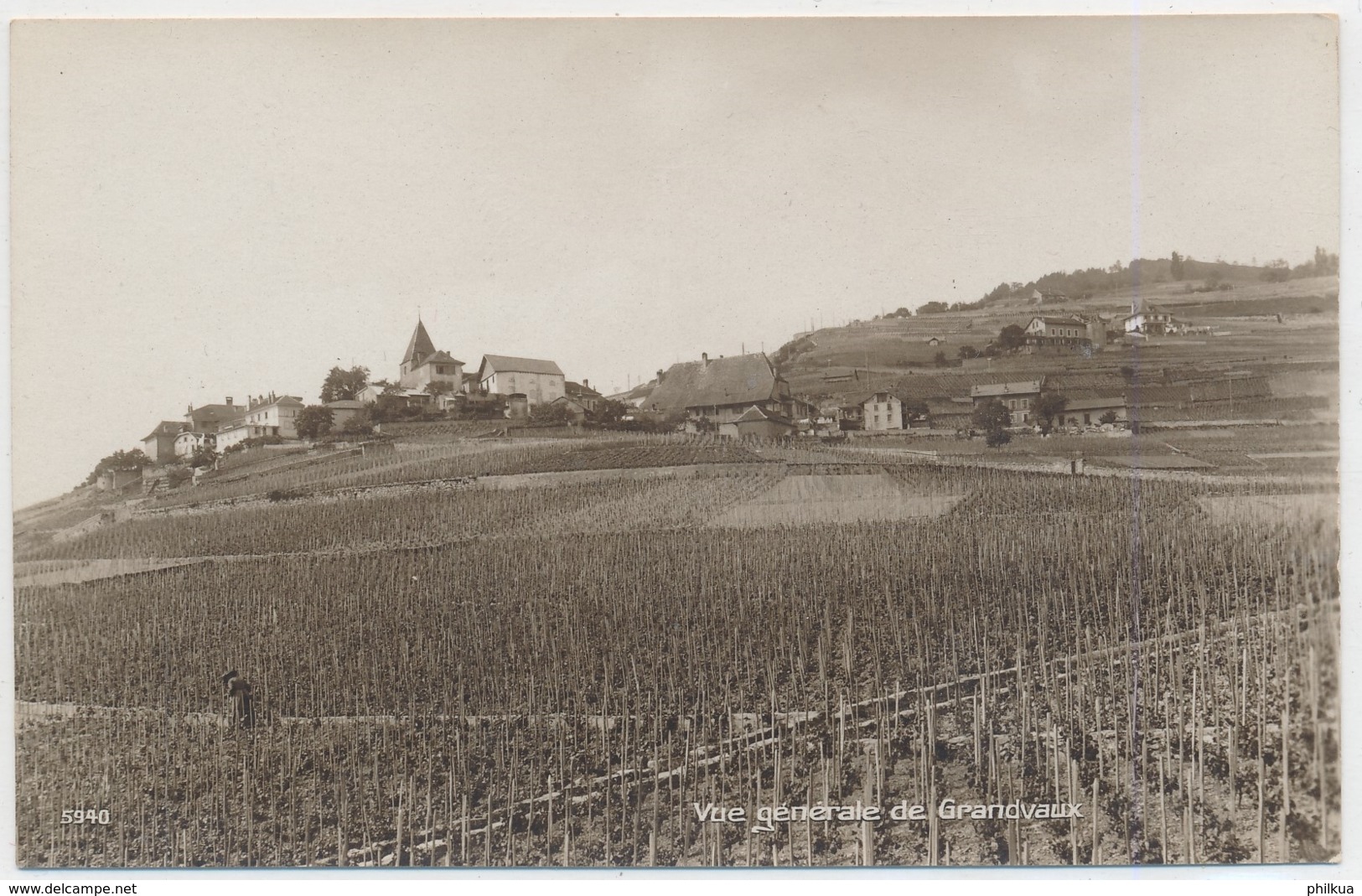 Vue Générale De Grandvaux - Grandvaux