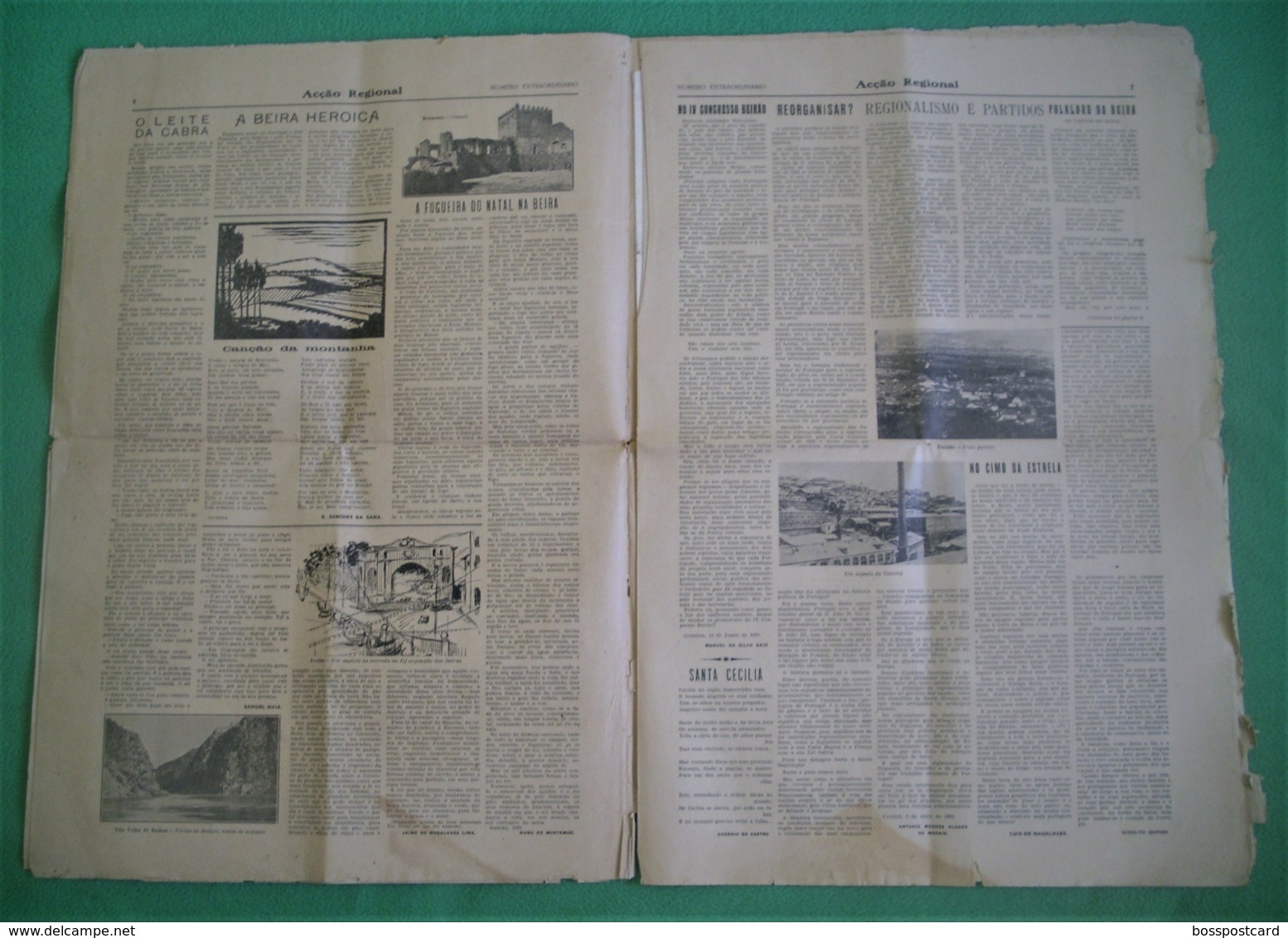 Castelo Branco - Jornal Acção Regional De Junho De 1929 - Congresso Das Beiras - Imprensa - Algemene Informatie