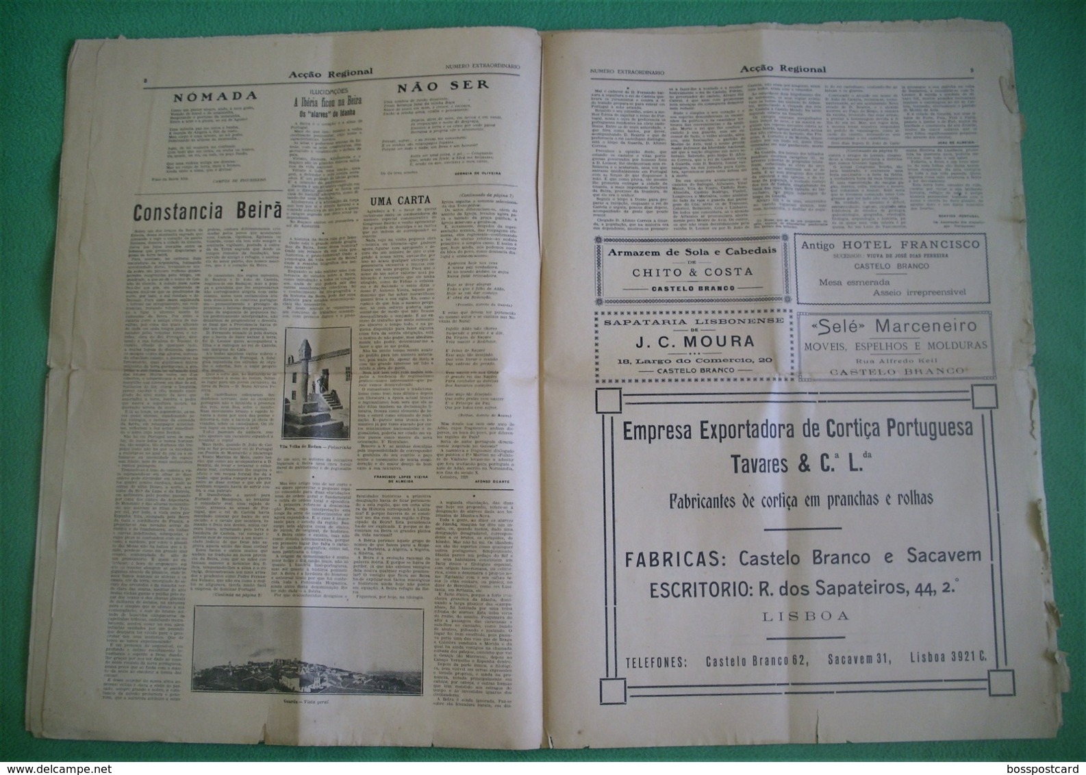 Castelo Branco - Jornal Acção Regional De Junho De 1929 - Congresso Das Beiras - Imprensa - Algemene Informatie