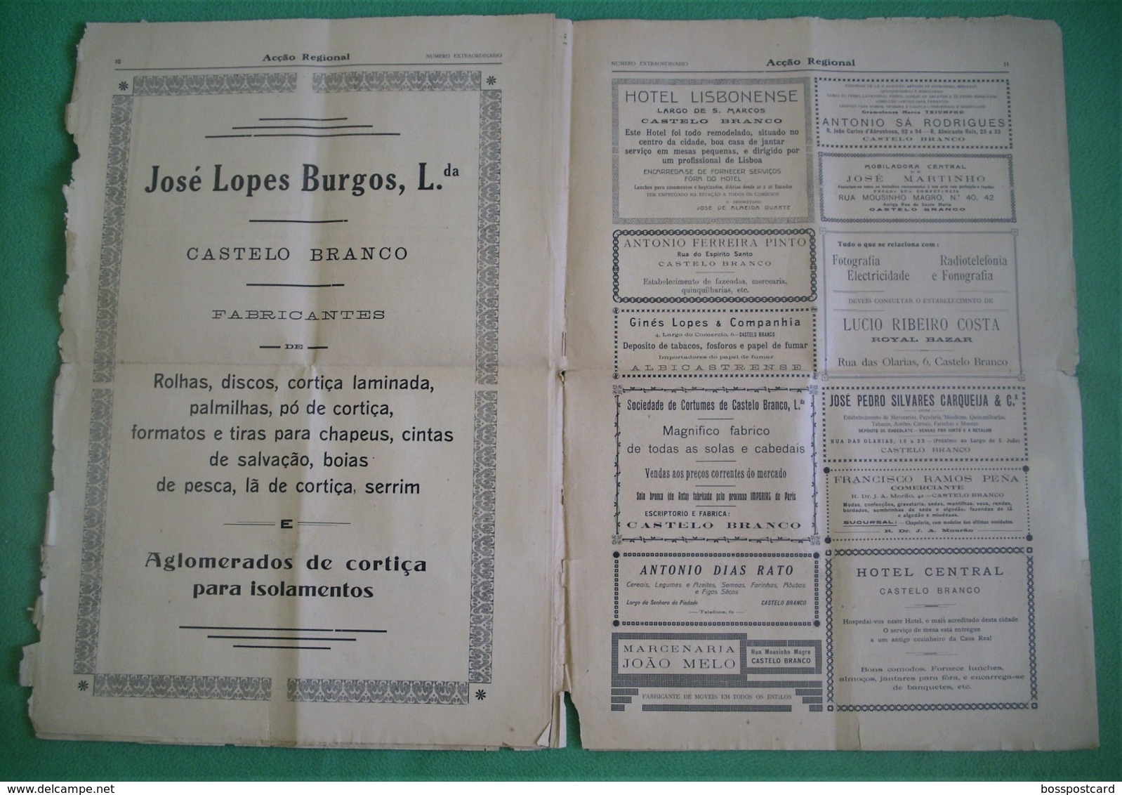 Castelo Branco - Jornal Acção Regional de Junho de 1929 - Congresso das Beiras - Imprensa