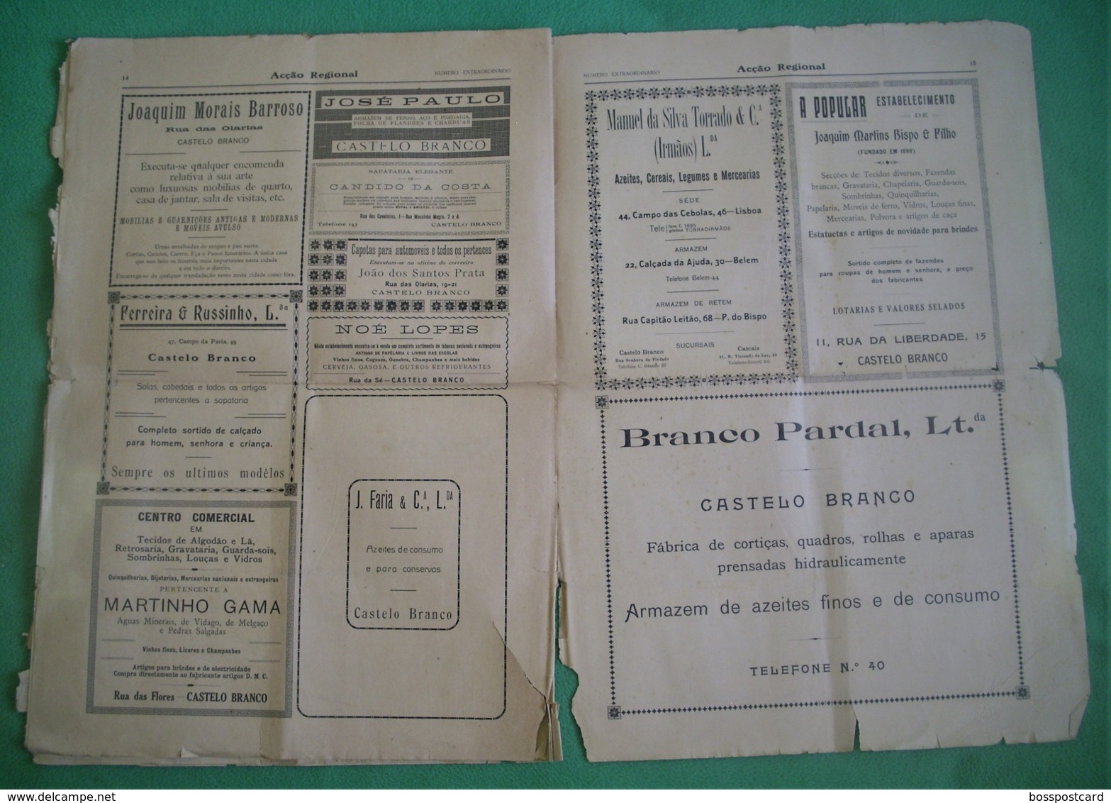 Castelo Branco - Jornal Acção Regional de Junho de 1929 - Congresso das Beiras - Imprensa