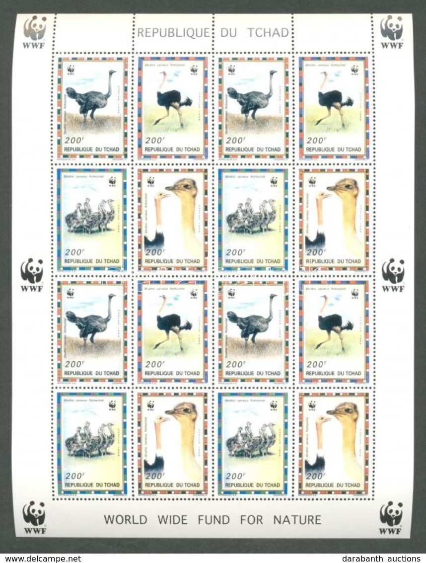 ** 1996 WWF: Észak-afrikai Strucc Kisív Mi 1370-1373 - Otros & Sin Clasificación