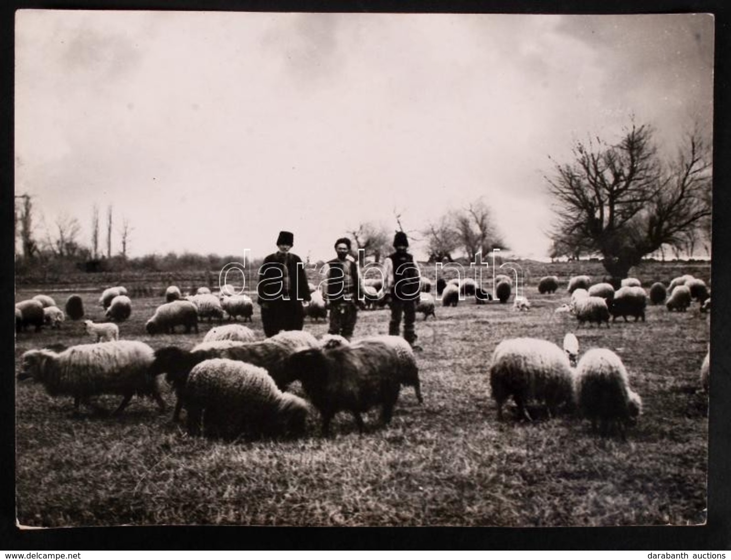 1910-1920 Kerny István (1879-1963): Pásztorok Az Al-Dunán. Vintage Fotó, Hátoldalán Feliratozott, A Szerző Hagyatékából  - Other & Unclassified